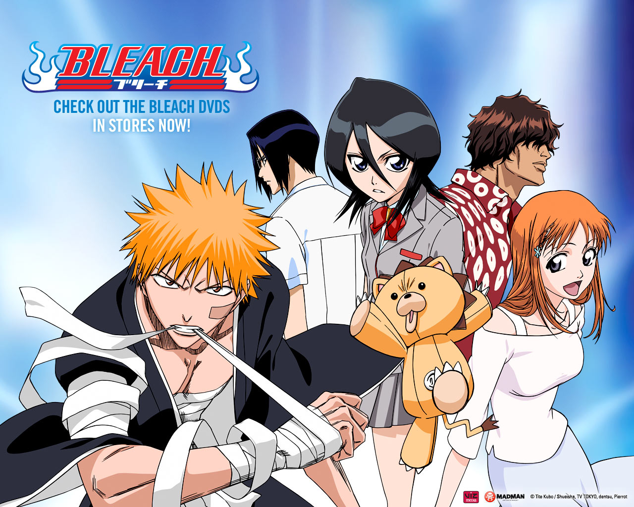 Download mobile wallpaper Anime, Bleach, Rukia Kuchiki, Ichigo Kurosaki, Orihime Inoue, Uryu Ishida, Yasutora Sado, Kon (Bleach) for free.