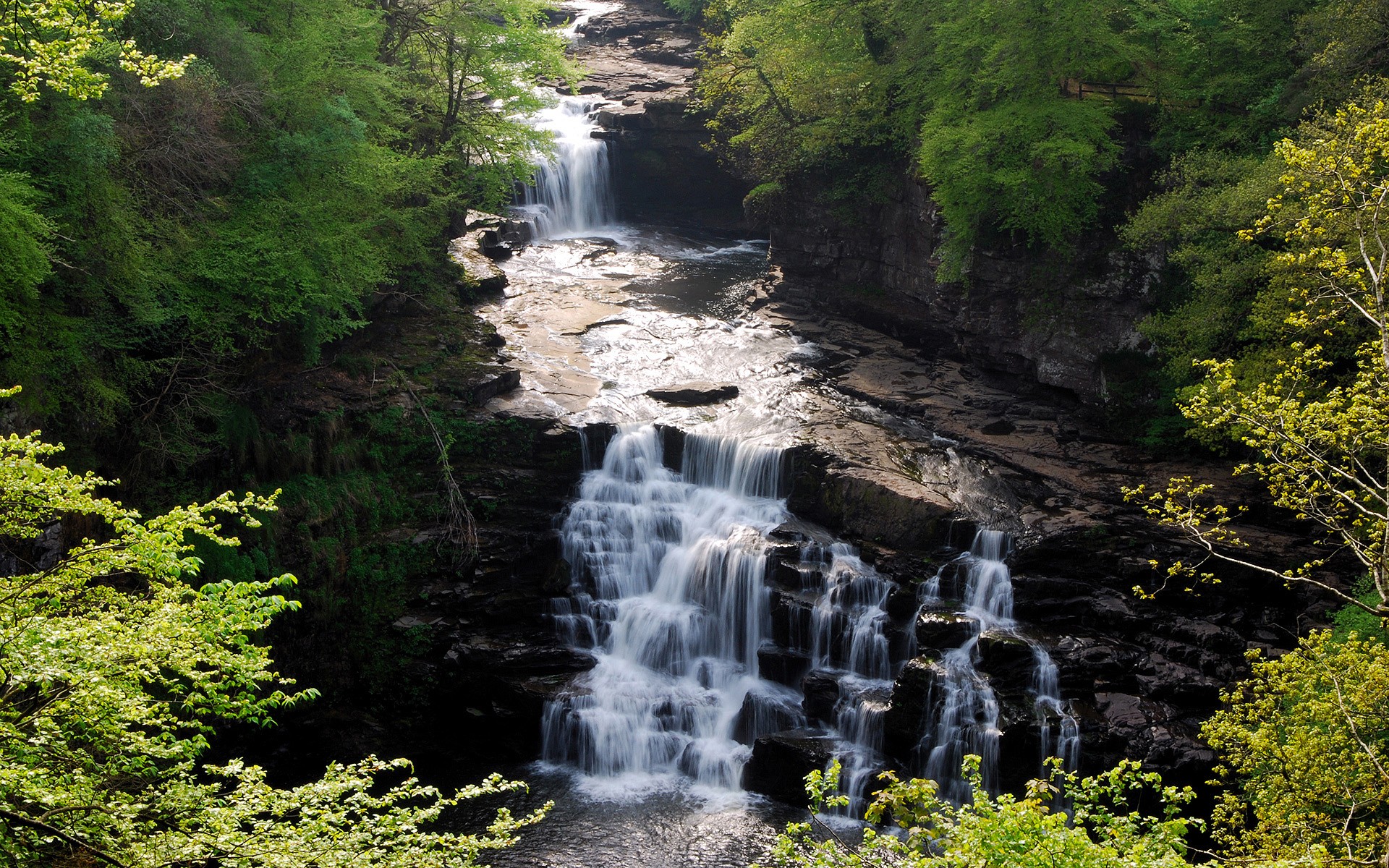 Handy-Wallpaper Fluss, Wasser, Wasserfall, Wasserfälle, Wald, Erde/natur kostenlos herunterladen.