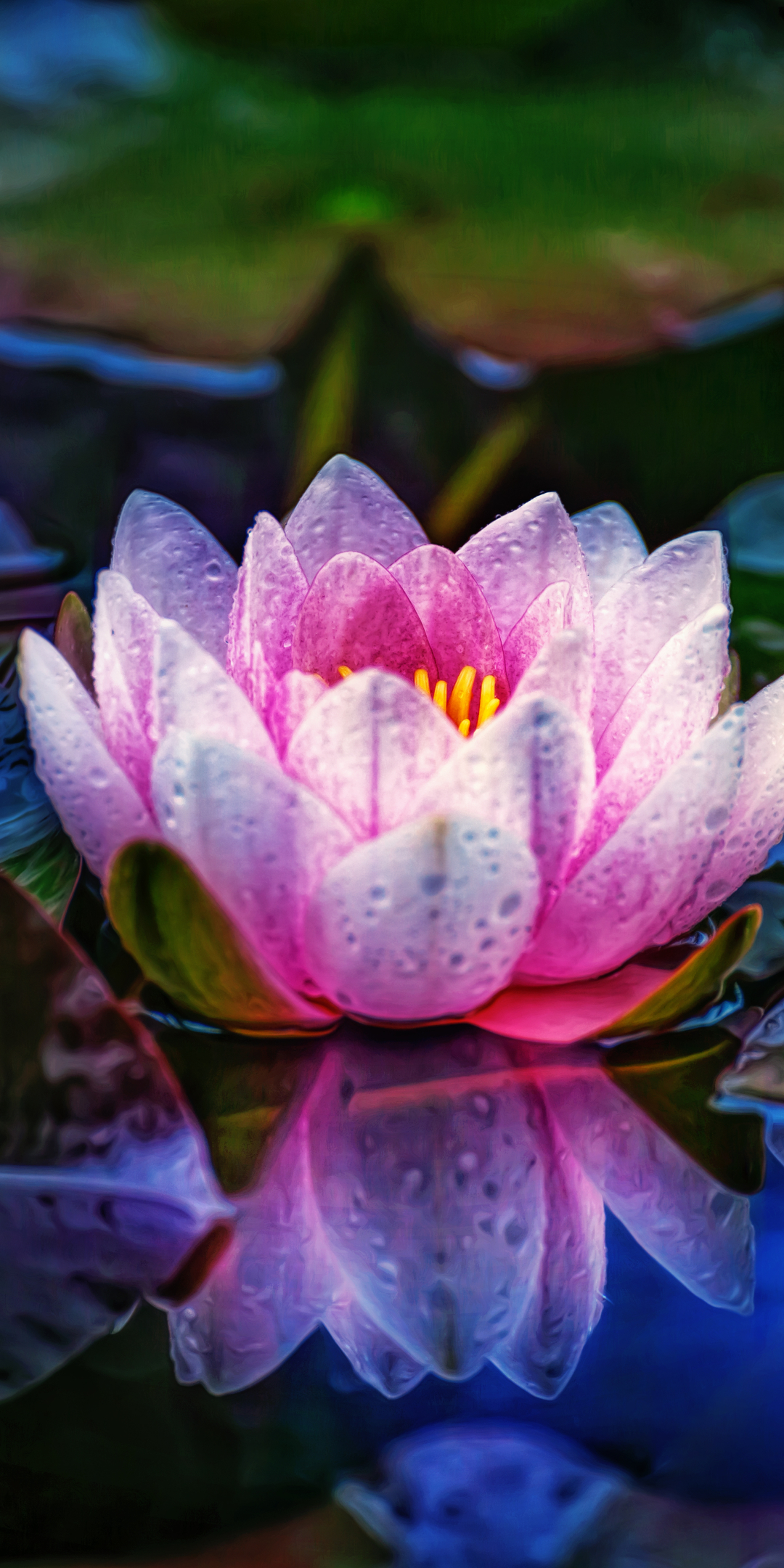 Download mobile wallpaper Flowers, Reflection, Macro, Leaf, Earth, Dew, Water Lily, Pink Flower for free.