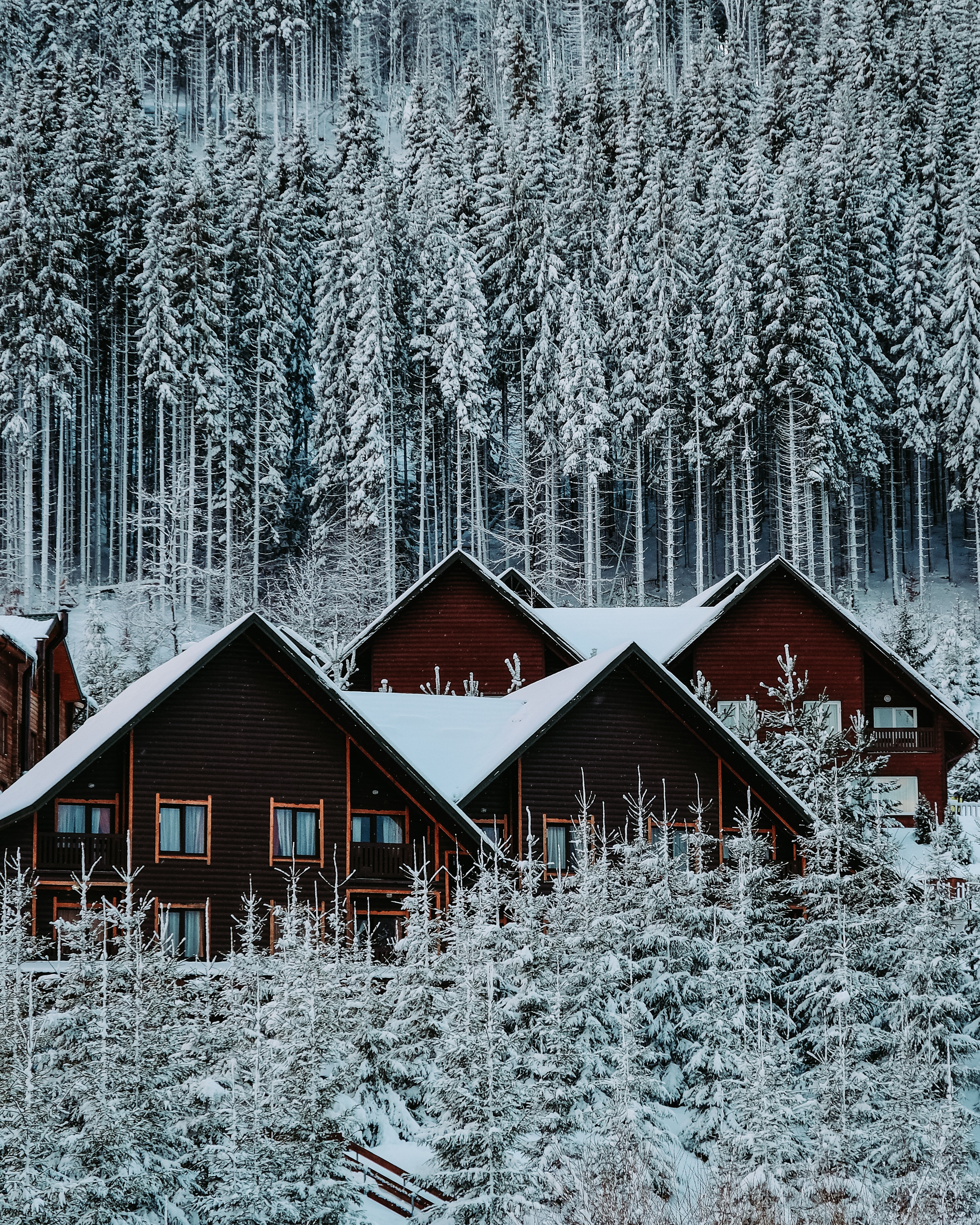 Full HD winter, nature, houses, snow, forest