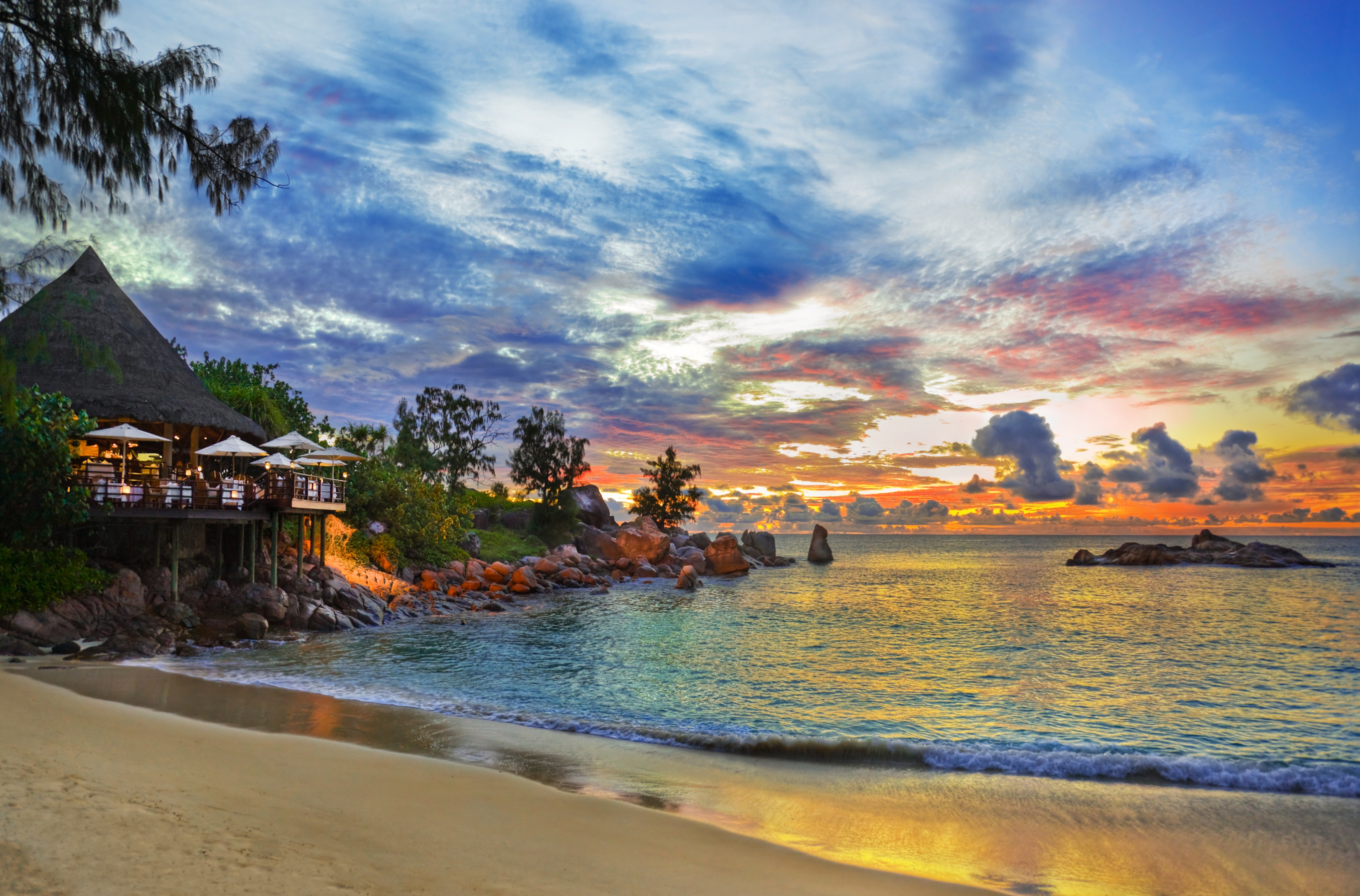 palm tree, sea, horizon, tropical, beach, photography, ocean, resort, seychelles