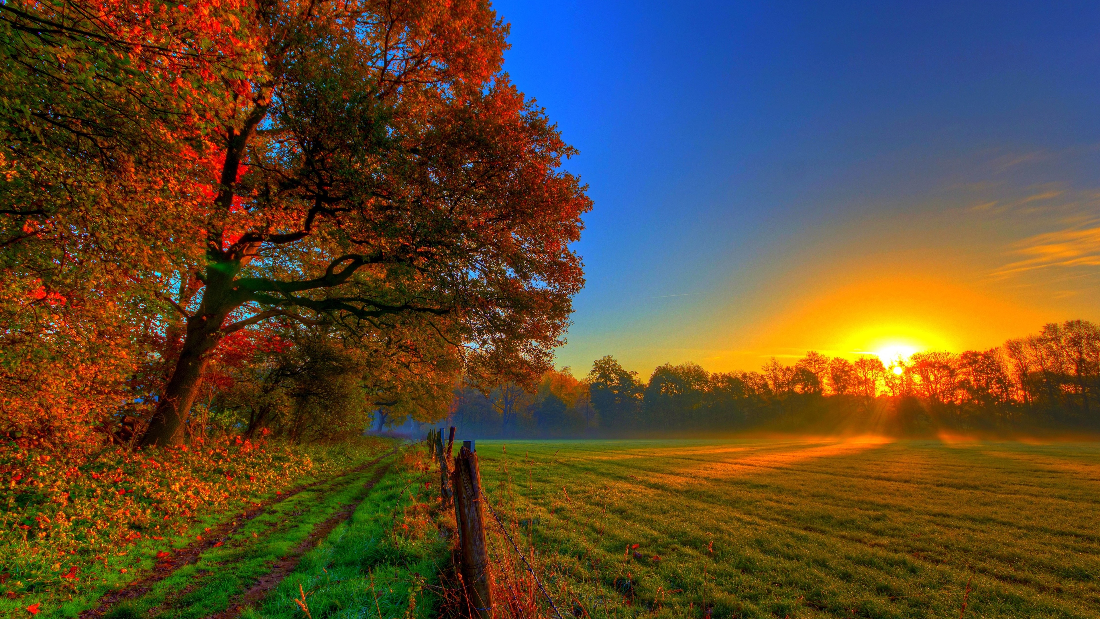 sunset, fall, field, sky, earth