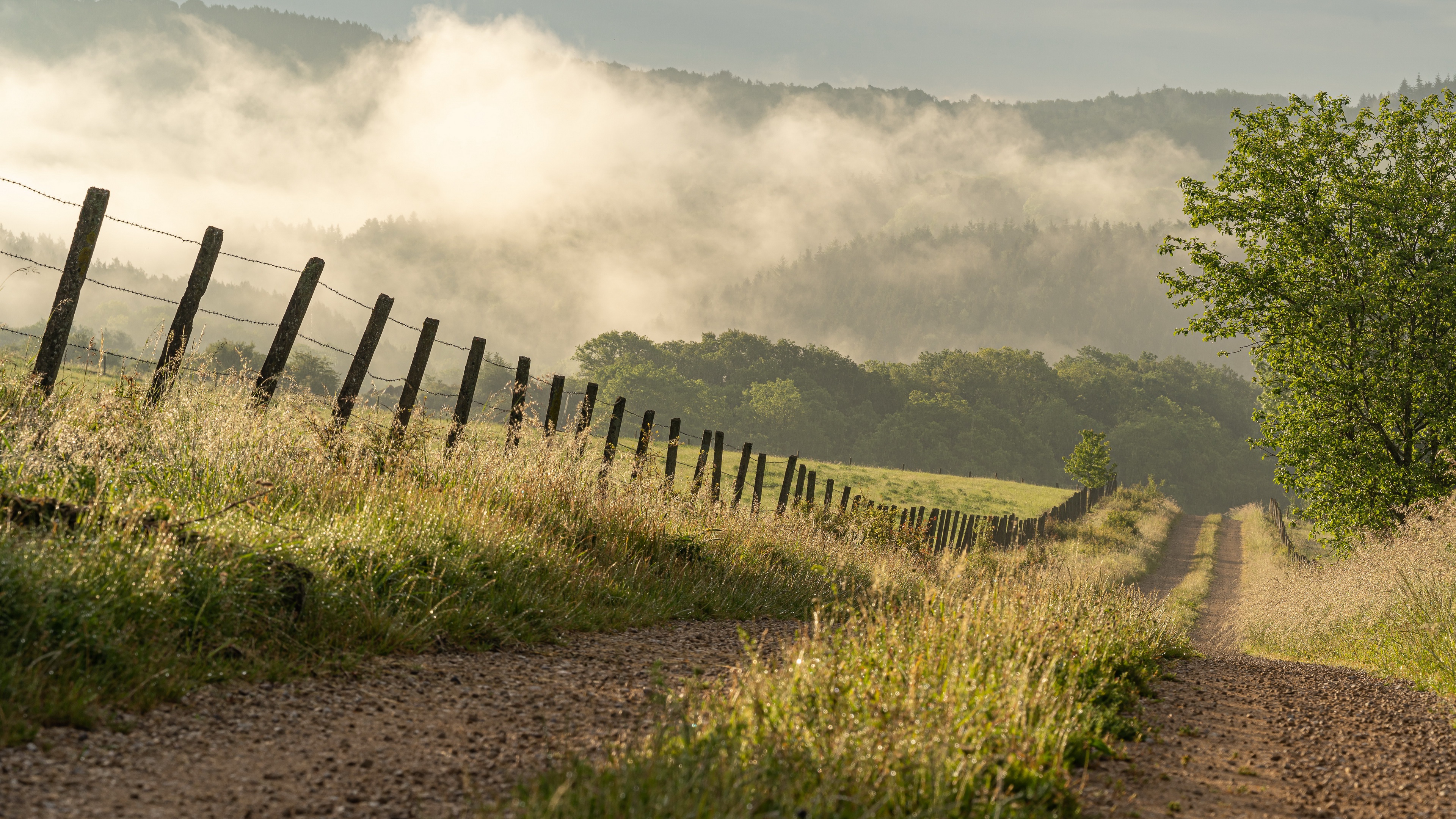 Laden Sie das Sommer, Straße, Nebel, Zaun, Menschengemacht-Bild kostenlos auf Ihren PC-Desktop herunter