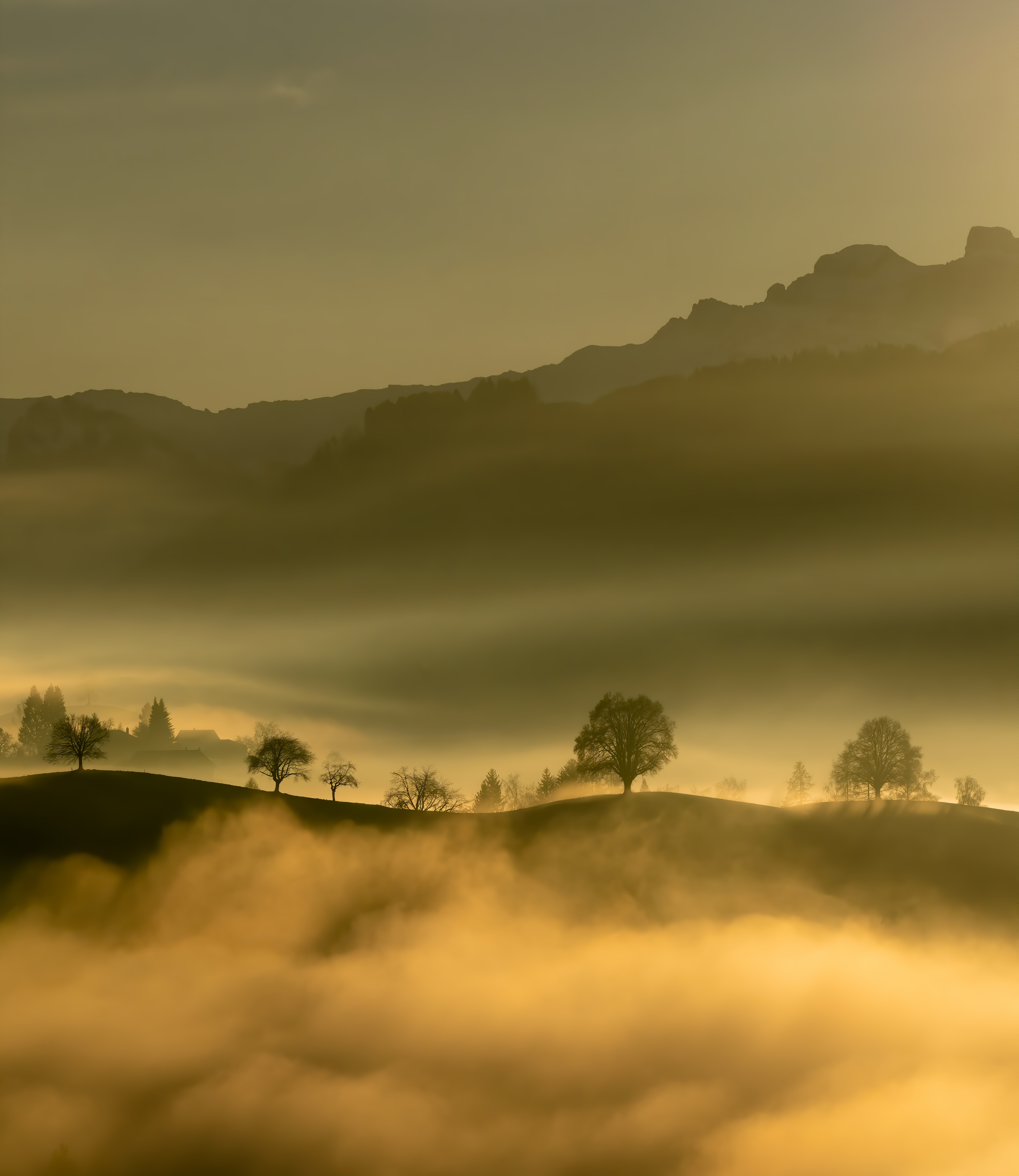 Download mobile wallpaper Trees, Nature, Fog, Mountains, Hills for free.