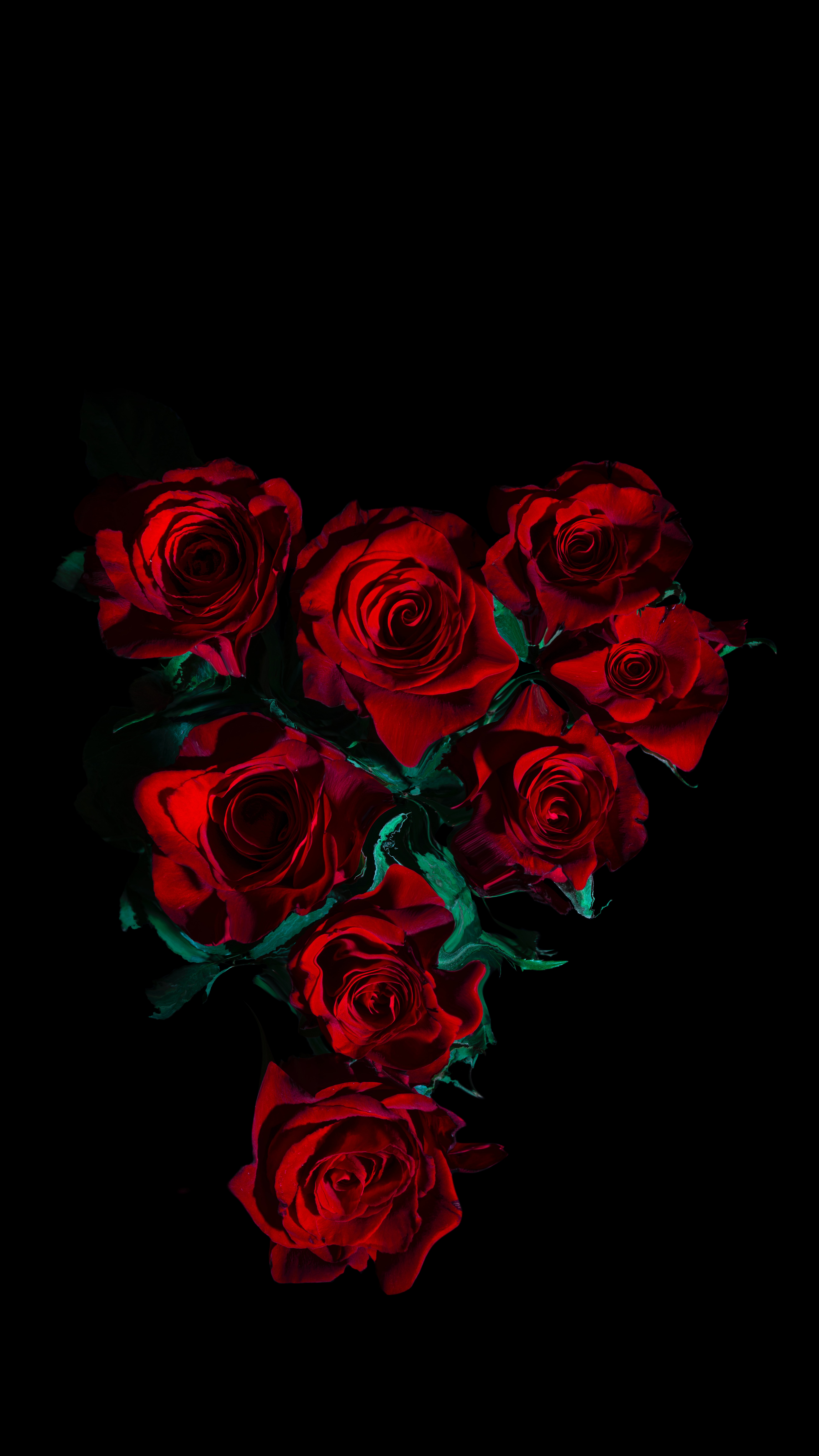 Скачать картинку Розы, Черный, Цветы, Букет в телефон бесплатно.