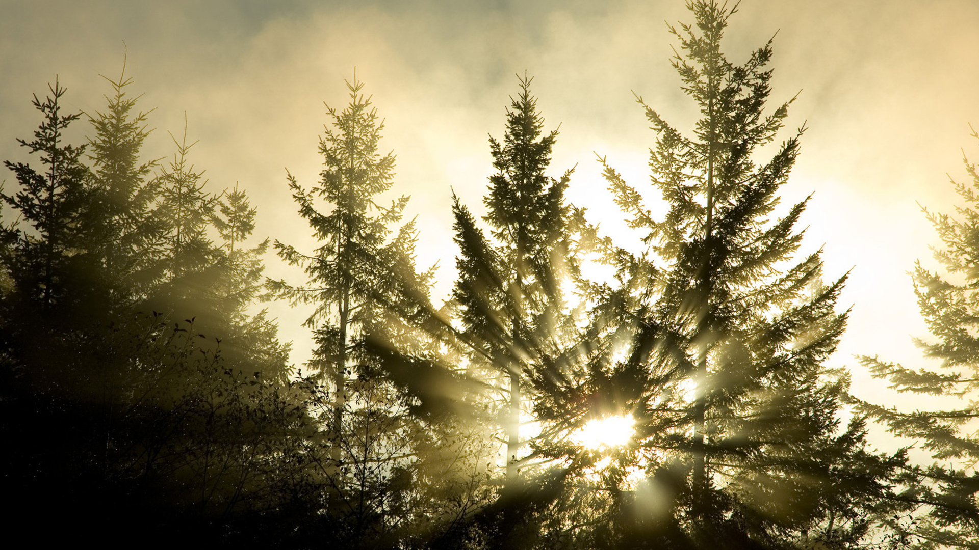 Laden Sie das Sonnenstrahl, Erde/natur-Bild kostenlos auf Ihren PC-Desktop herunter