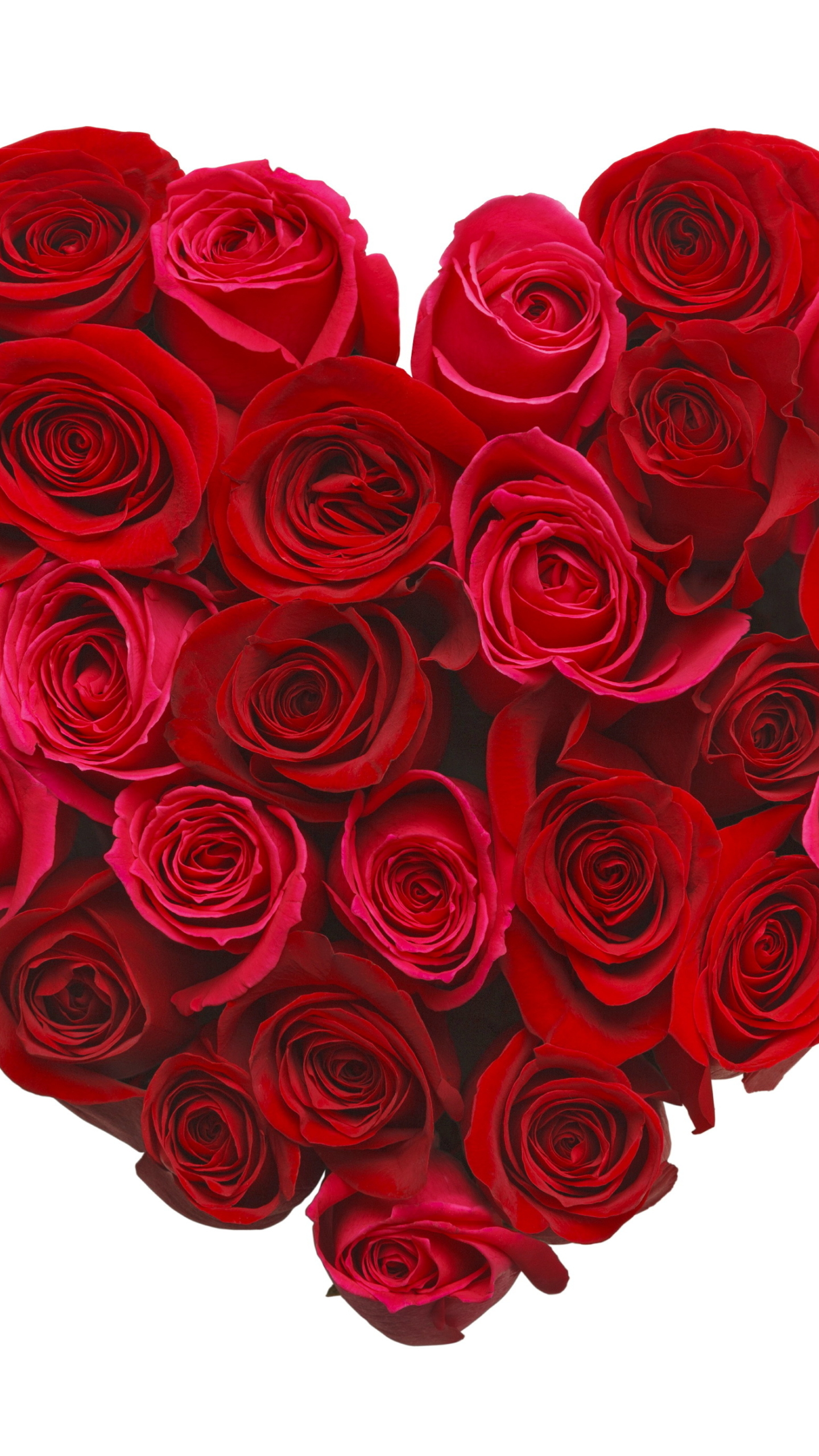 Download mobile wallpaper Love, Flower, Rose, Heart, Artistic, Romantic, Red Flower for free.