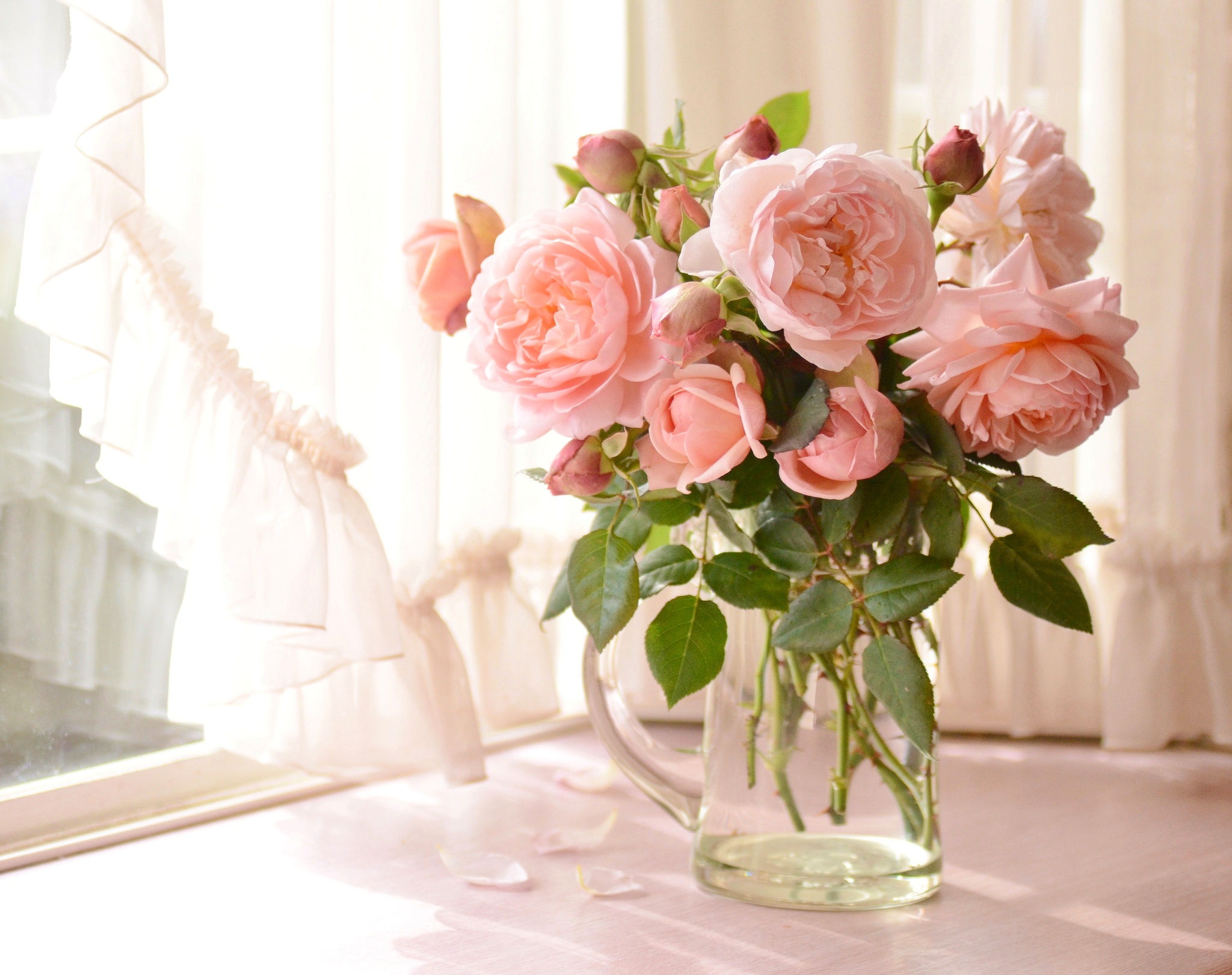 Handy-Wallpaper Blume, Rose, Erde, Vase, Pfingstrose, Menschengemacht, Pinke Blume, Stillleben kostenlos herunterladen.