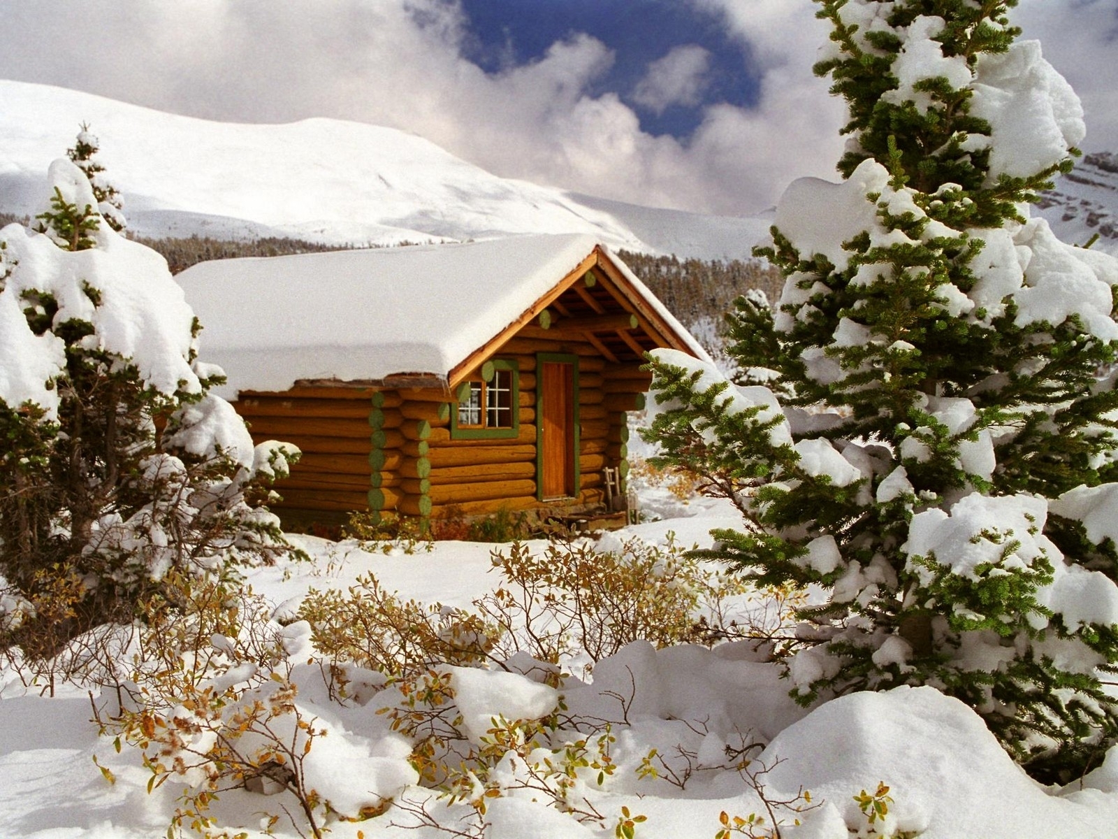 houses, landscape, winter, fir trees HD wallpaper