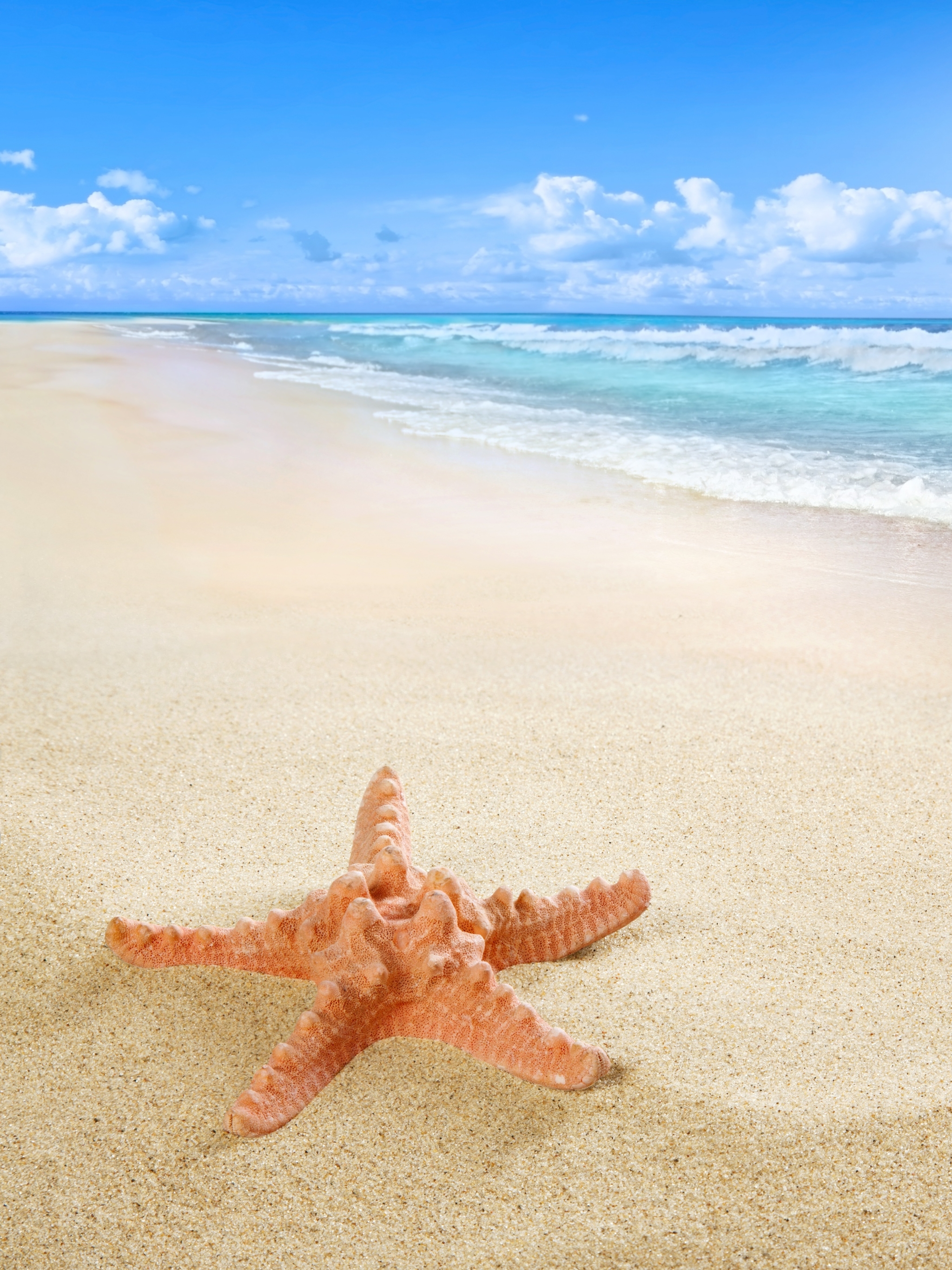 Download mobile wallpaper Nature, Beach, Sand, Starfish, Horizon, Earth for free.