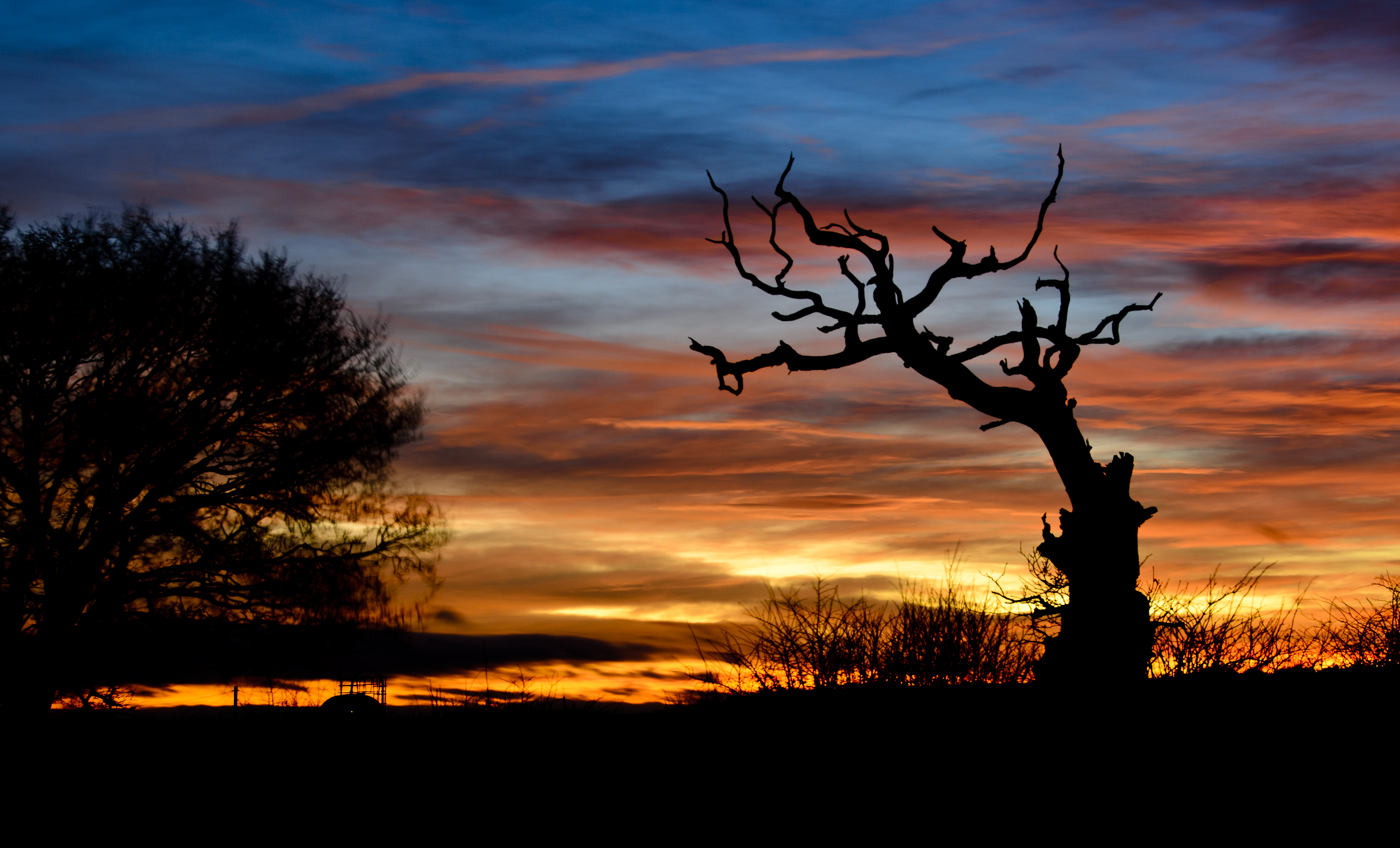 Free download wallpaper Sunset, Clouds, Silhouette, Branch, Nature on your PC desktop