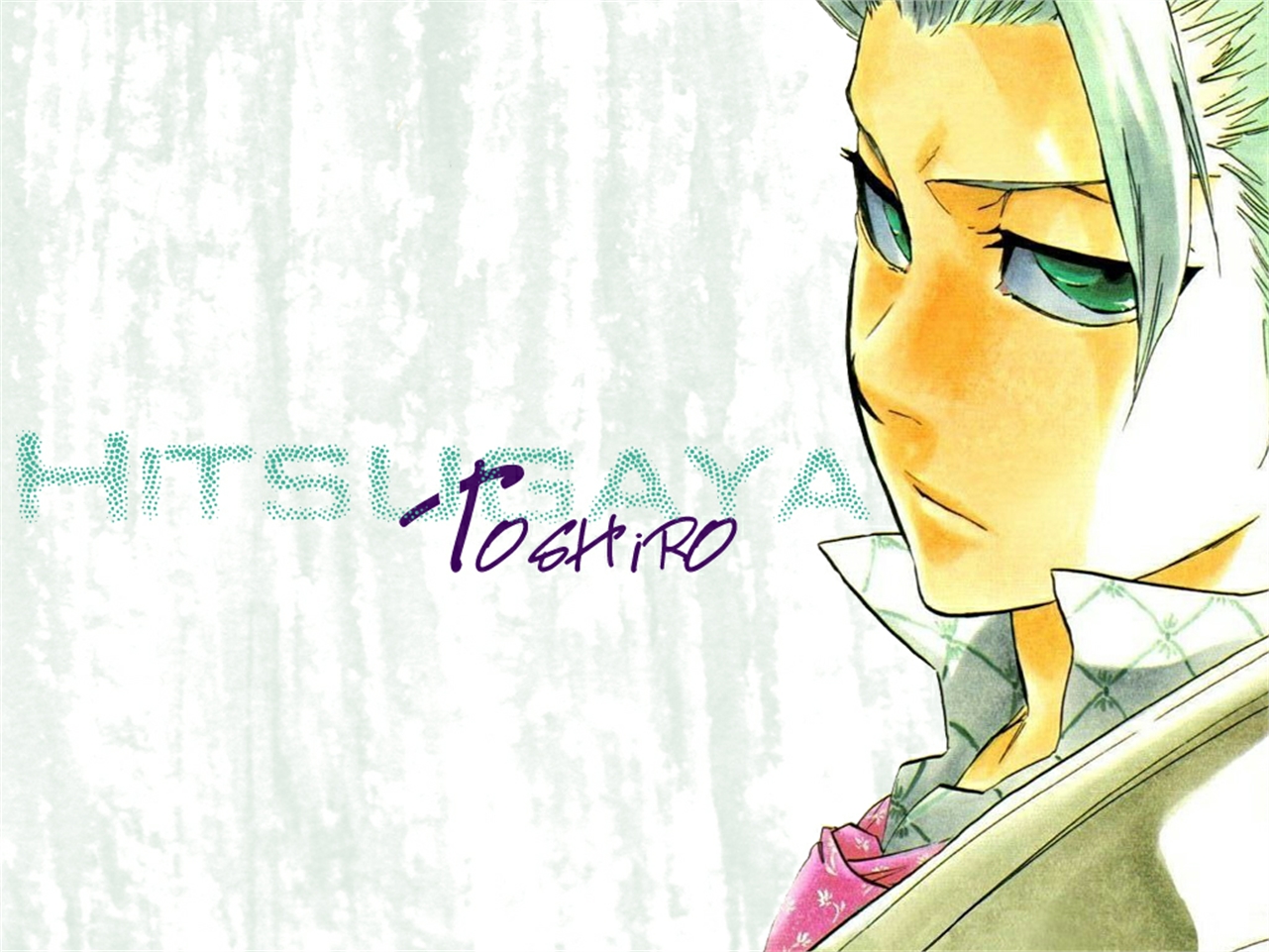 Free download wallpaper Anime, Bleach, Tōshirō Hitsugaya on your PC desktop