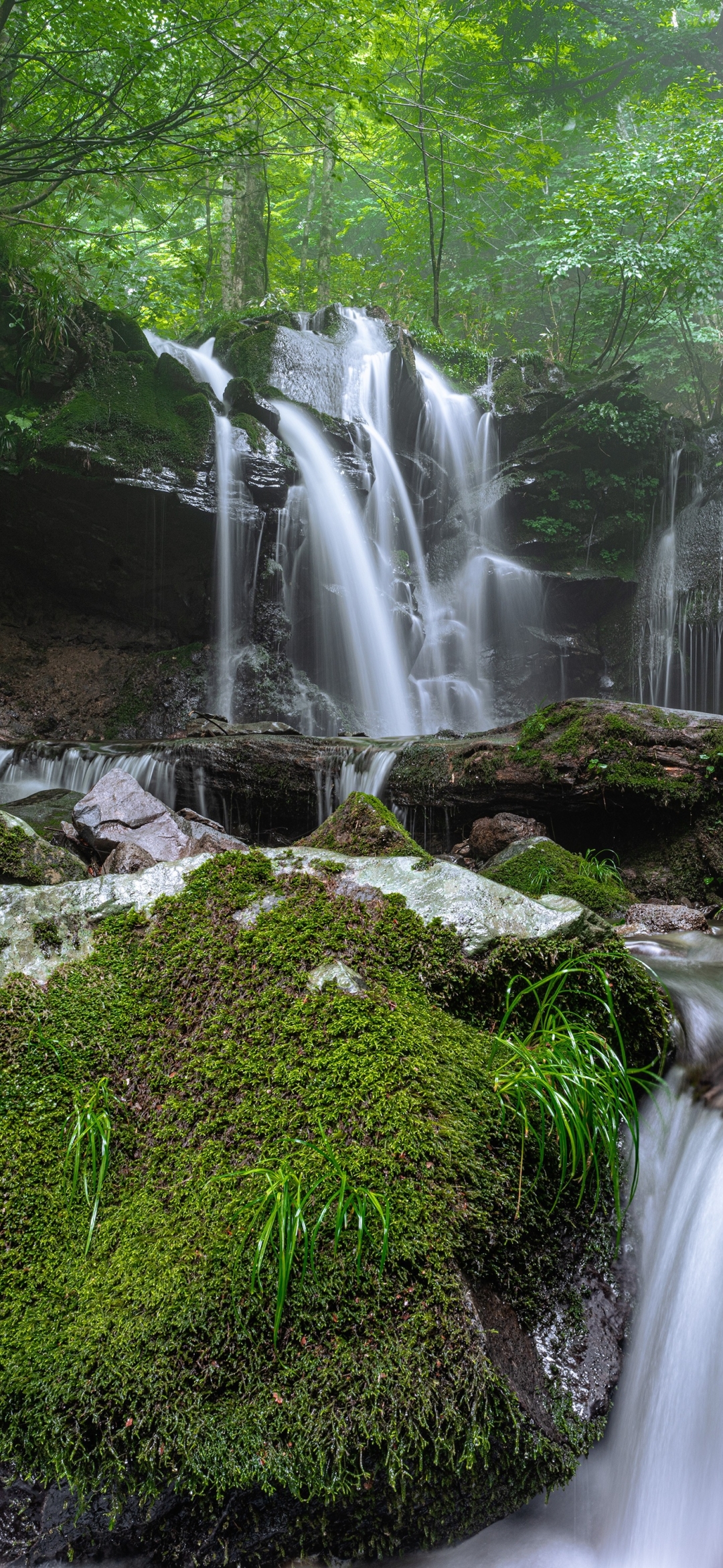 Handy-Wallpaper Natur, Wasserfälle, Wasserfall, Stein, Moos, Erde/natur kostenlos herunterladen.