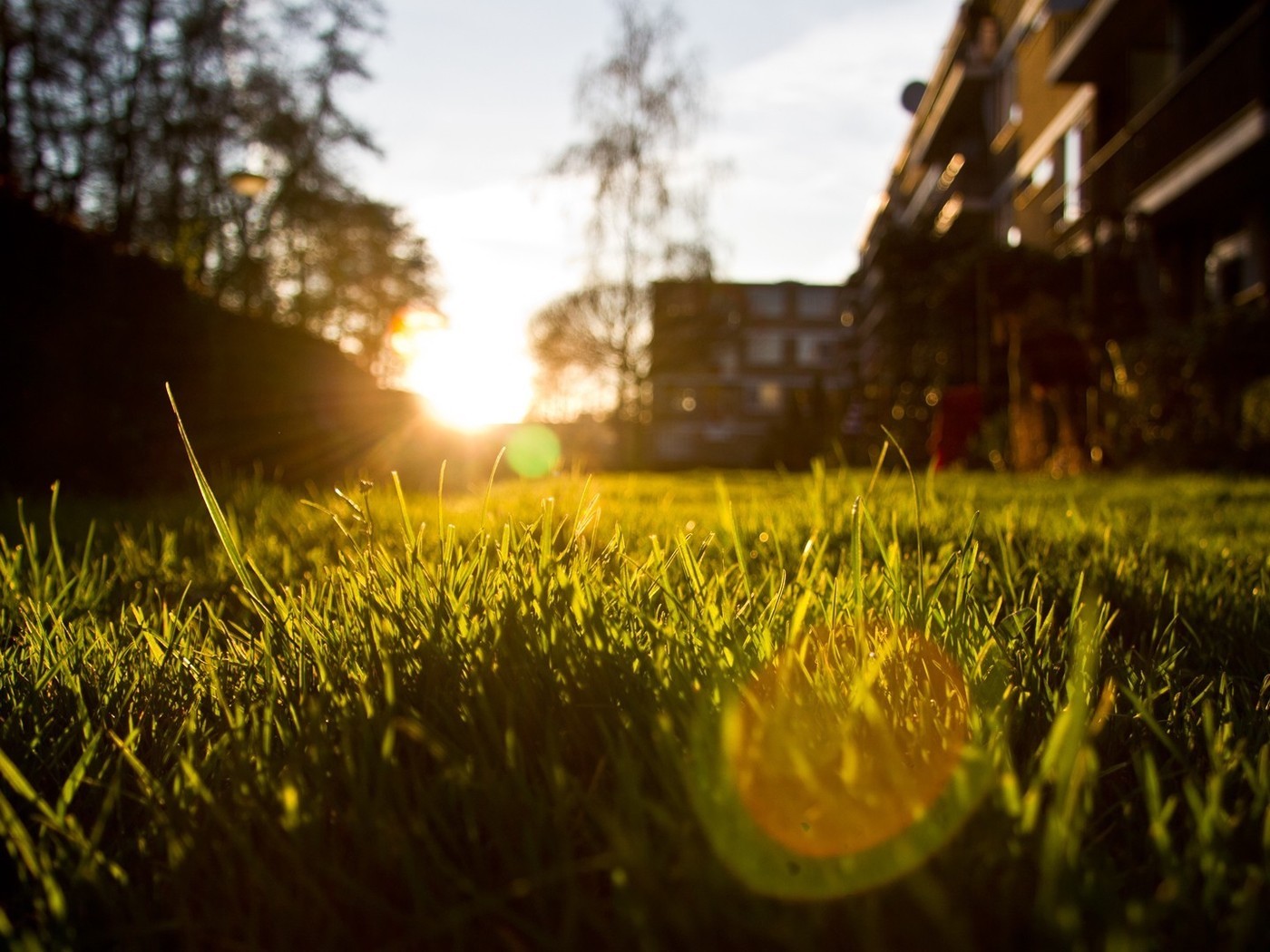 Free download wallpaper Sunset, Grass, Landscape on your PC desktop
