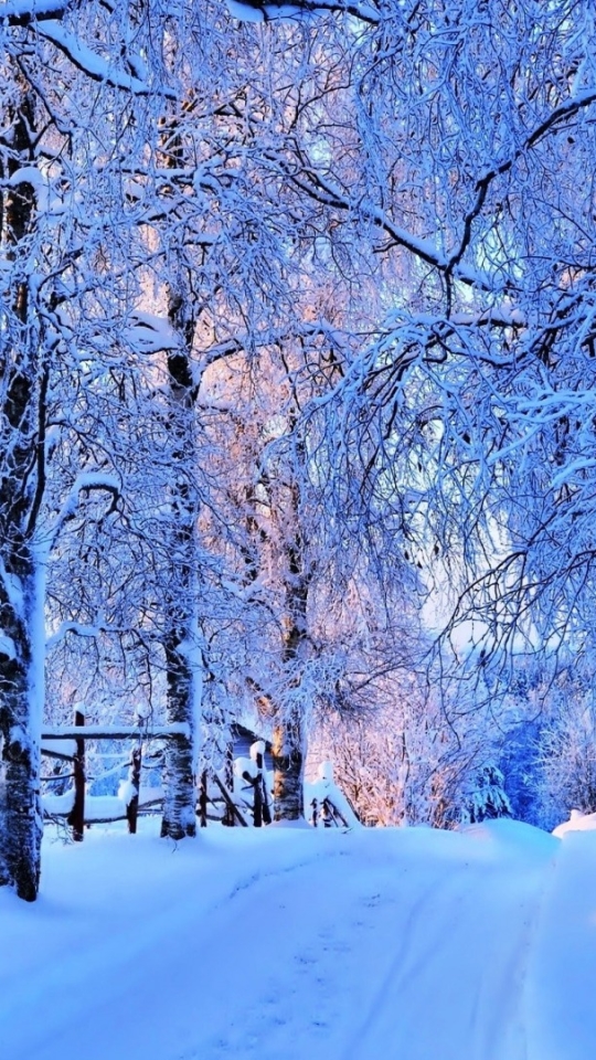 Download mobile wallpaper Winter, Snow, Road, Tree, Earth, Fence for free.