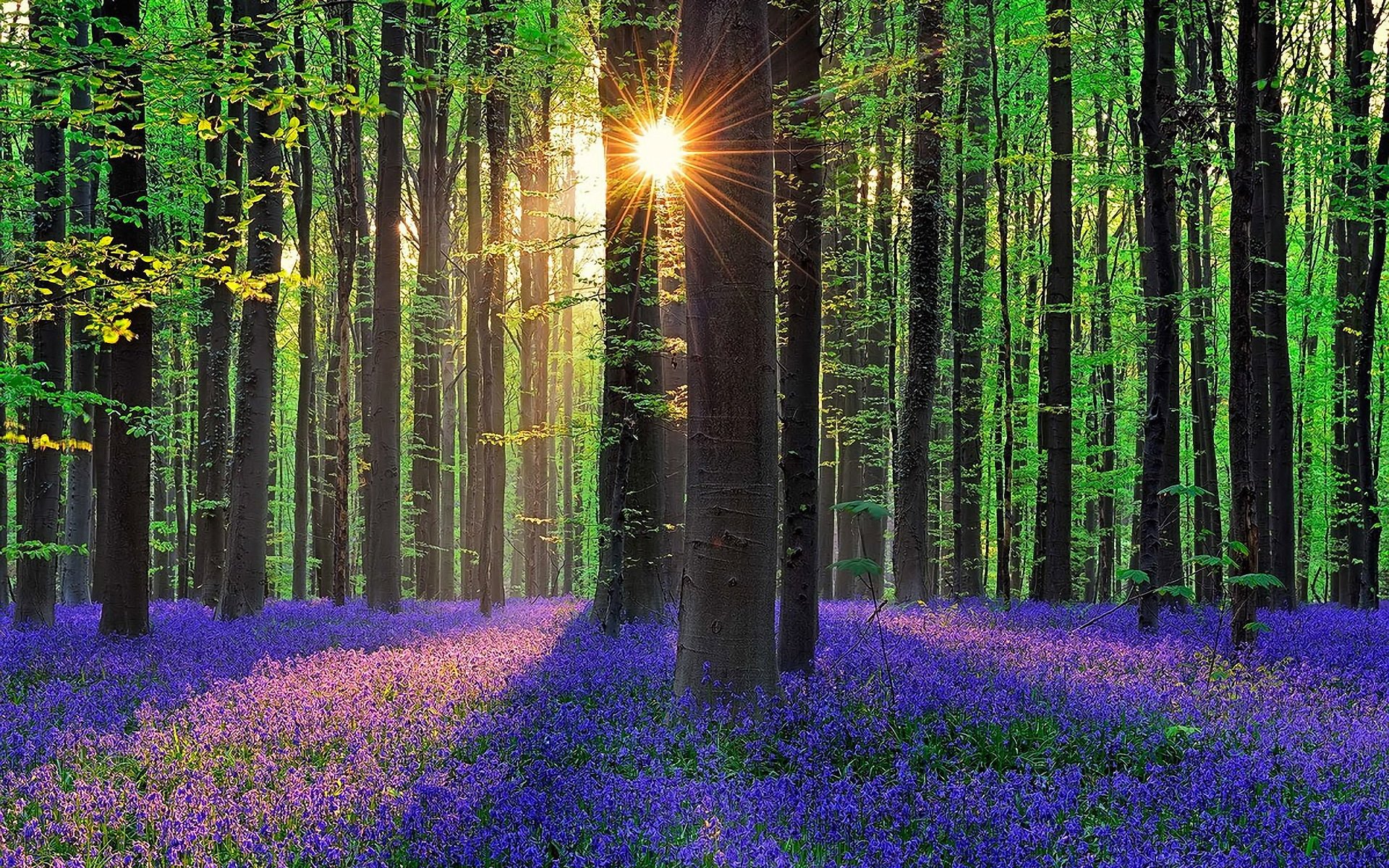 Téléchargez gratuitement l'image Terre/nature, Lever De Soleil sur le bureau de votre PC