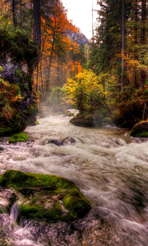 Скачати мобільні шпалери Природа, Річка, Земля, Потік, Hdr, Падіння безкоштовно.