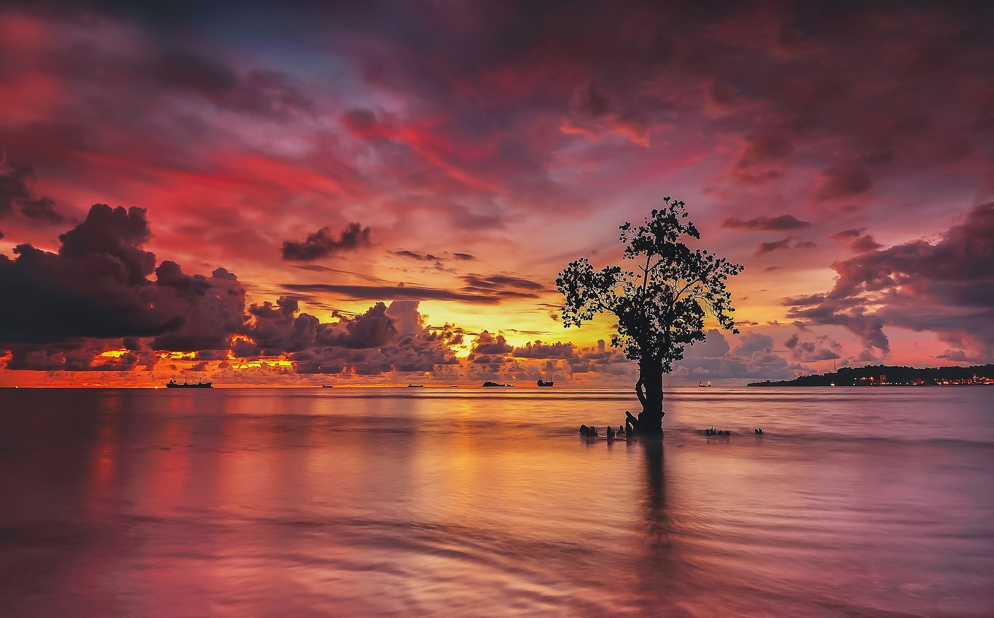 Laden Sie das Küste, Baum, Schiff, Wolke, Fotografie, Meer, Sonnenuntergang-Bild kostenlos auf Ihren PC-Desktop herunter
