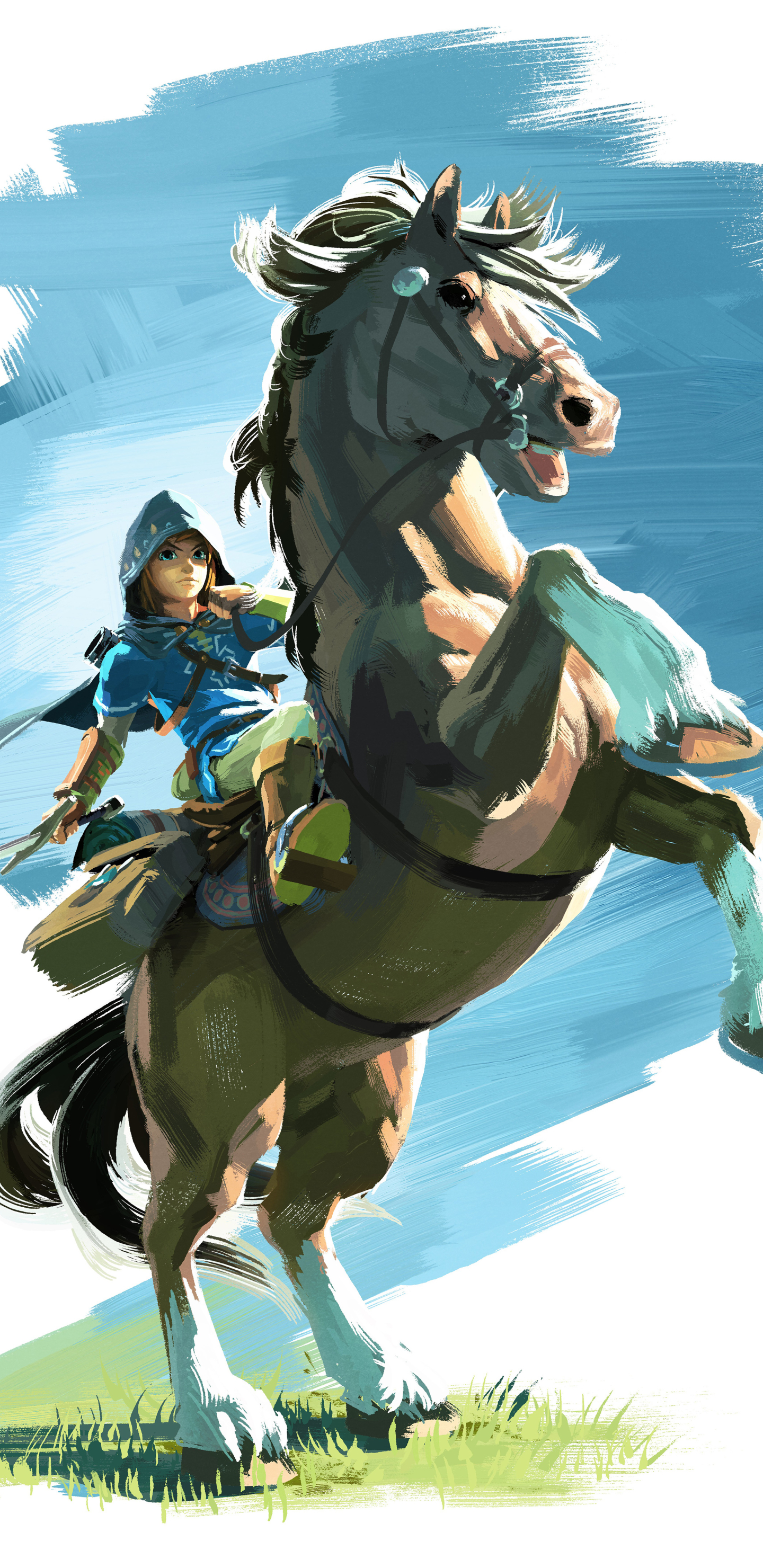 Free download wallpaper Link, Video Game, The Legend Of Zelda, Zelda, Nintendo, The Legend Of Zelda: Breath Of The Wild on your PC desktop