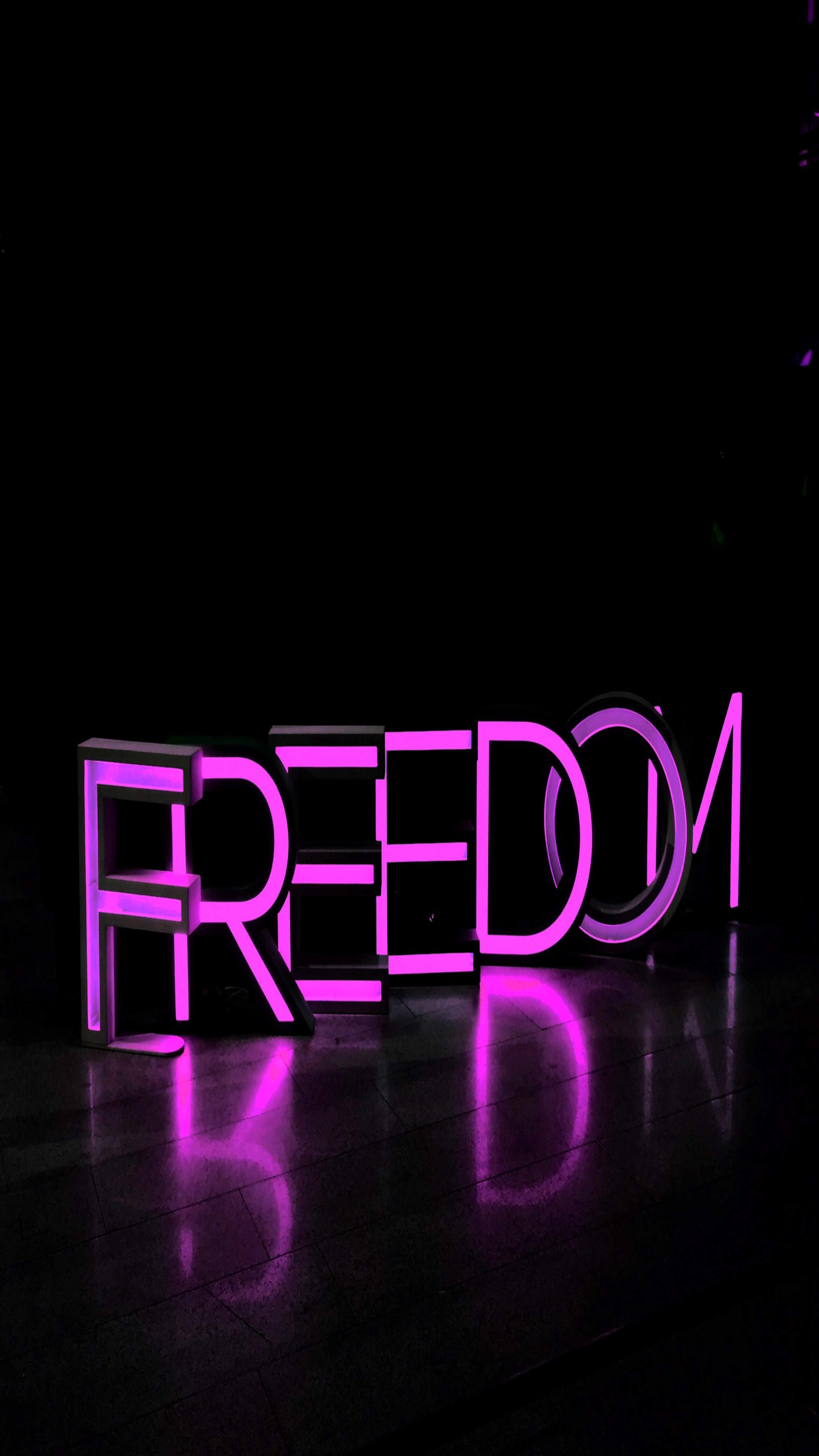 freedom, neon, violet, words, inscription, purple