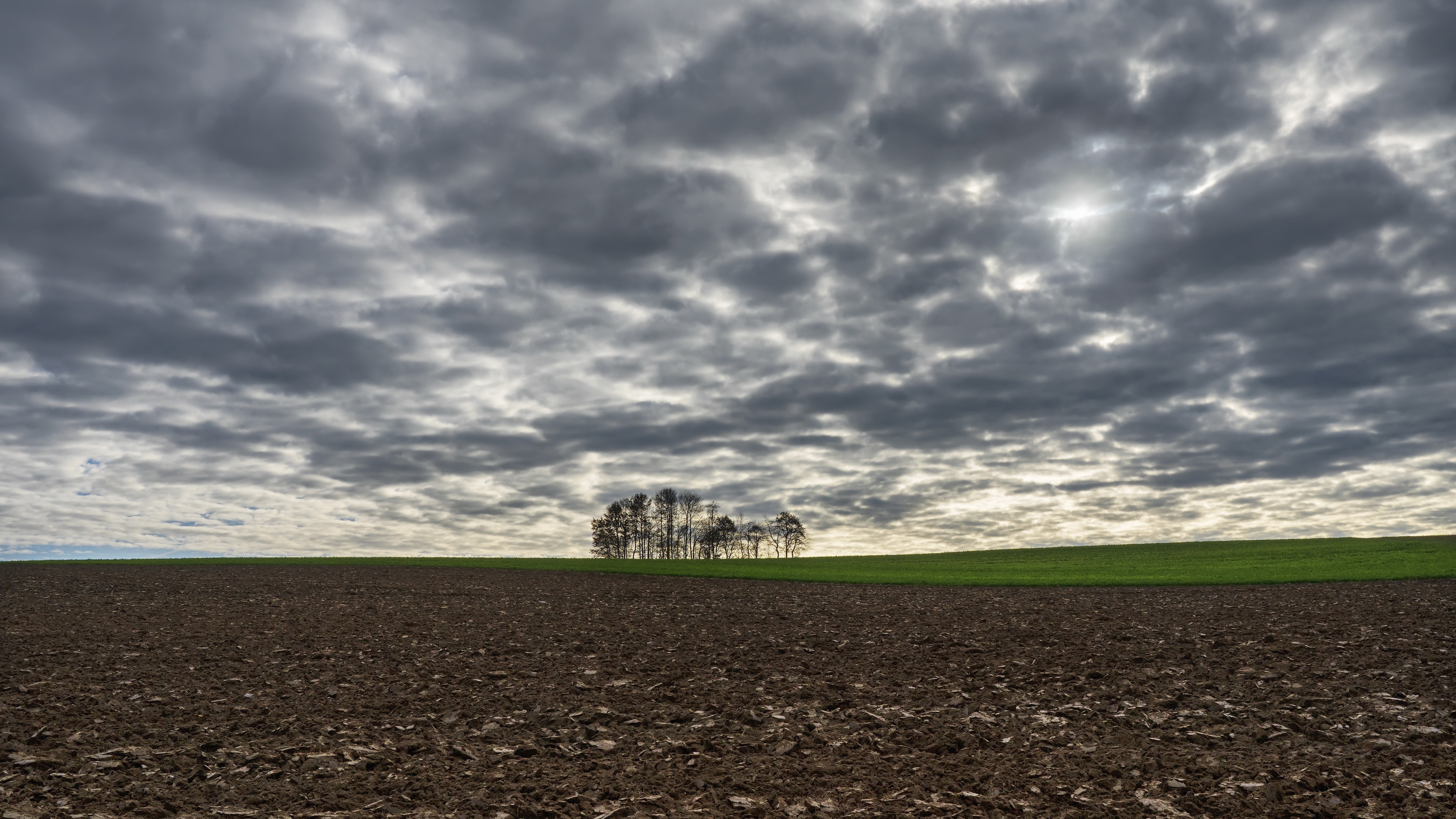 Download mobile wallpaper Nature, Horizon, Tree, Earth, Field, Cloud for free.