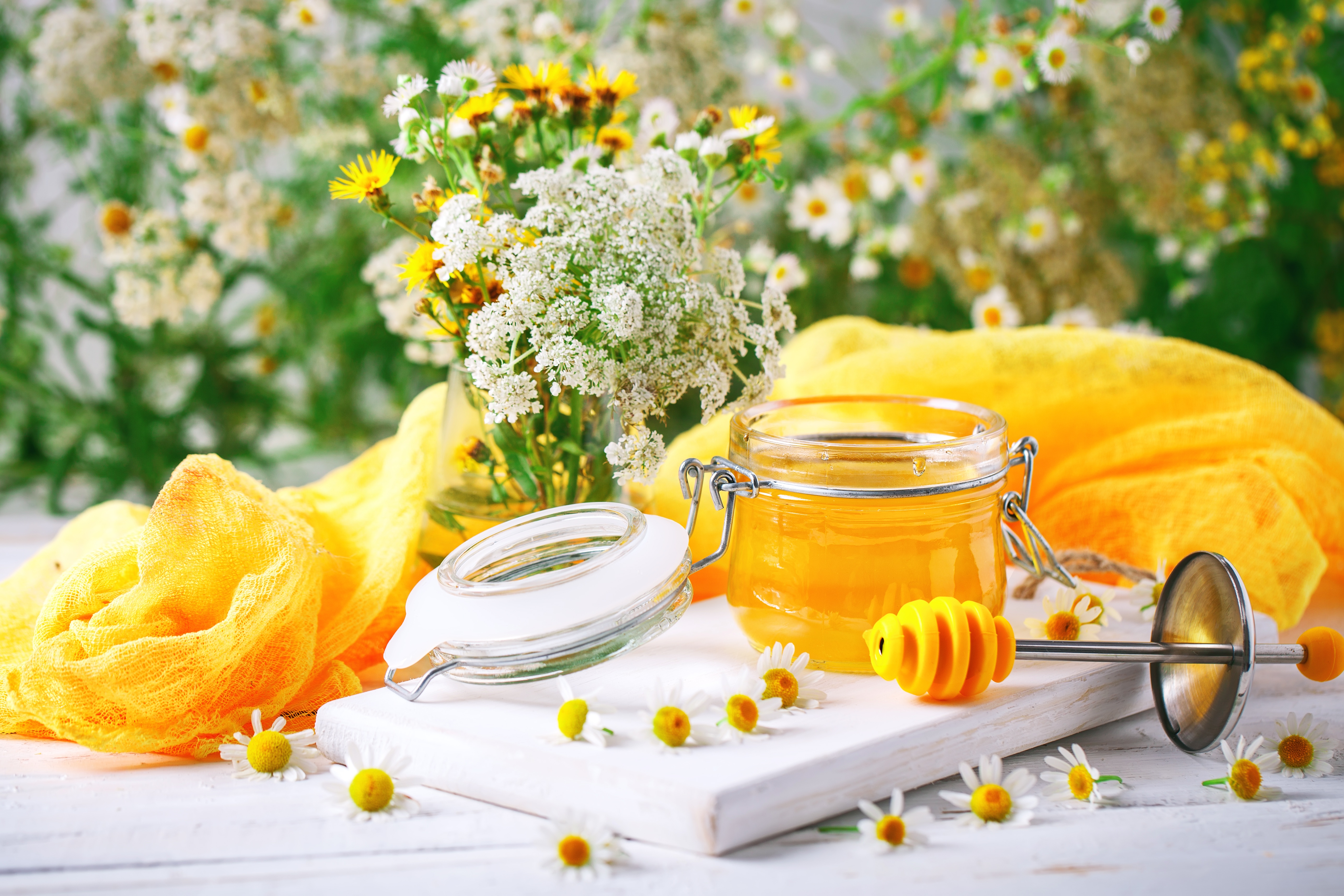 Free download wallpaper Food, Still Life, Flower, Honey on your PC desktop