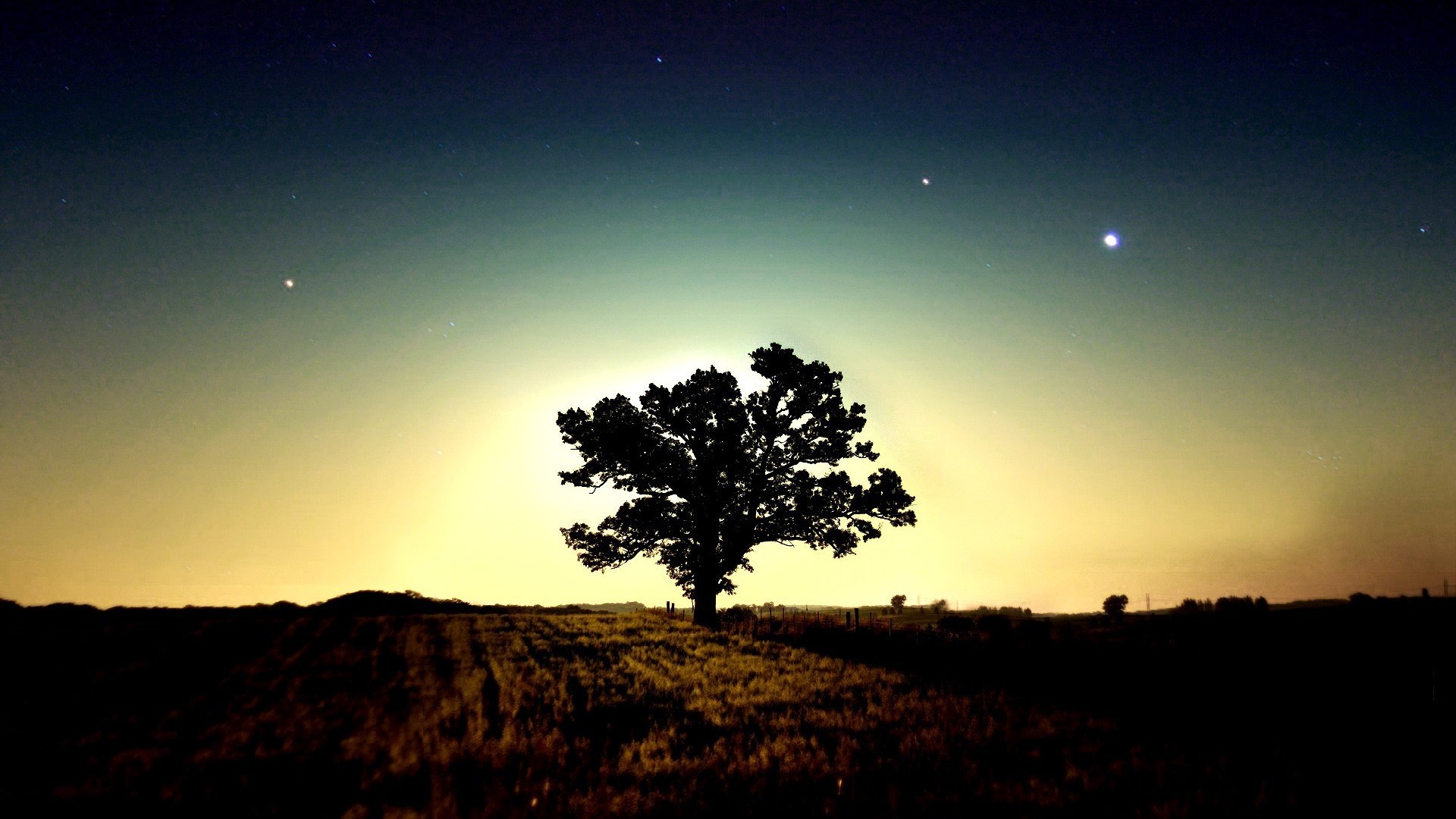 Baixe gratuitamente a imagem Árvore, Terra/natureza na área de trabalho do seu PC