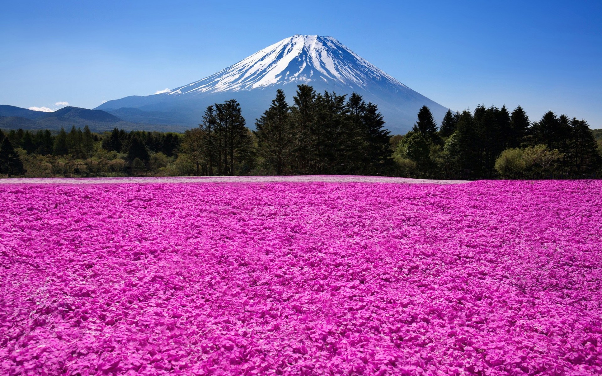 Скачать картинку Япония, Гора Фудзи, Земля/природа в телефон бесплатно.