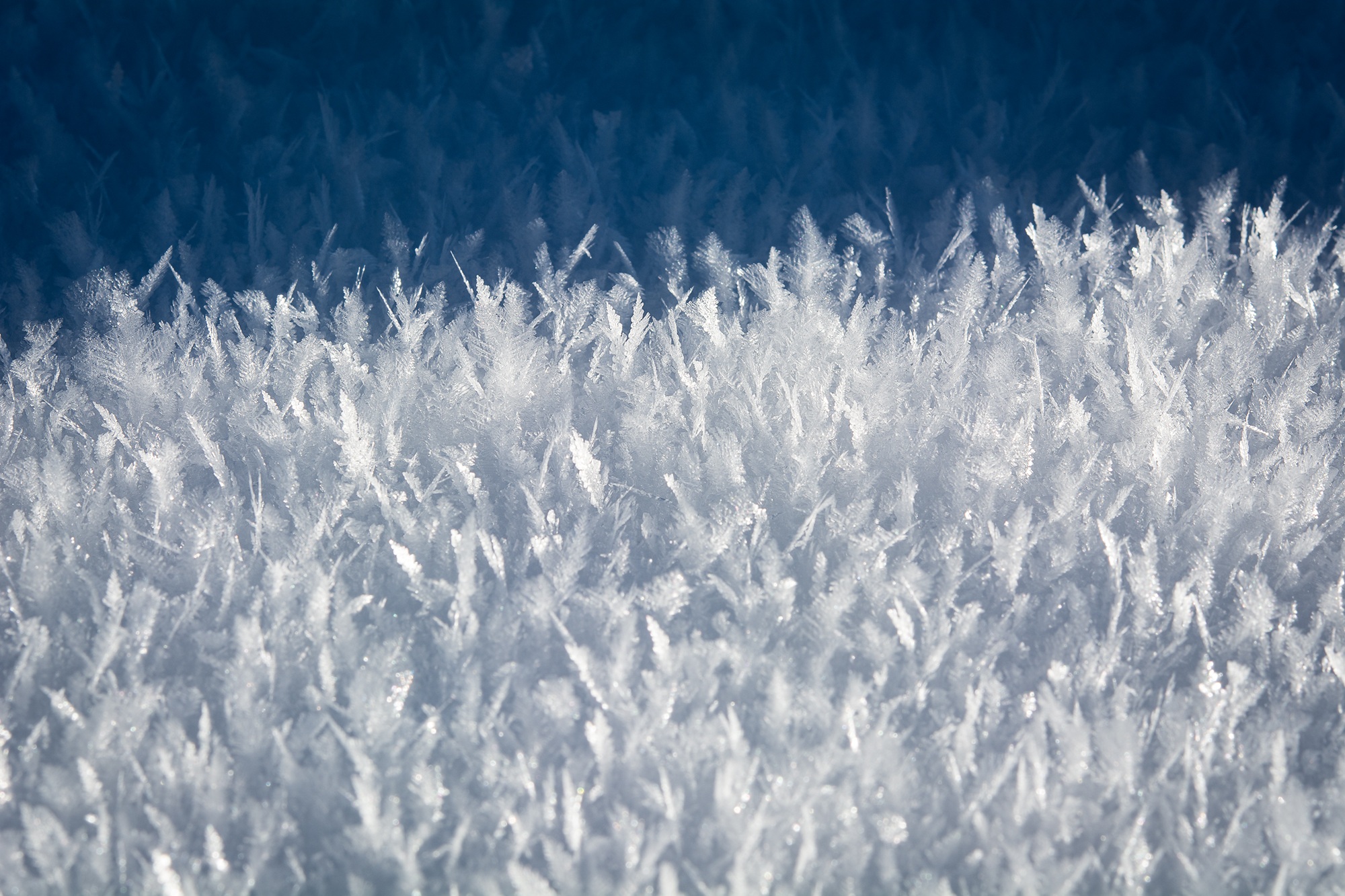 Download mobile wallpaper Winter, Nature, Ice, Macro, Earth, Frozen, Cold, Crystal for free.