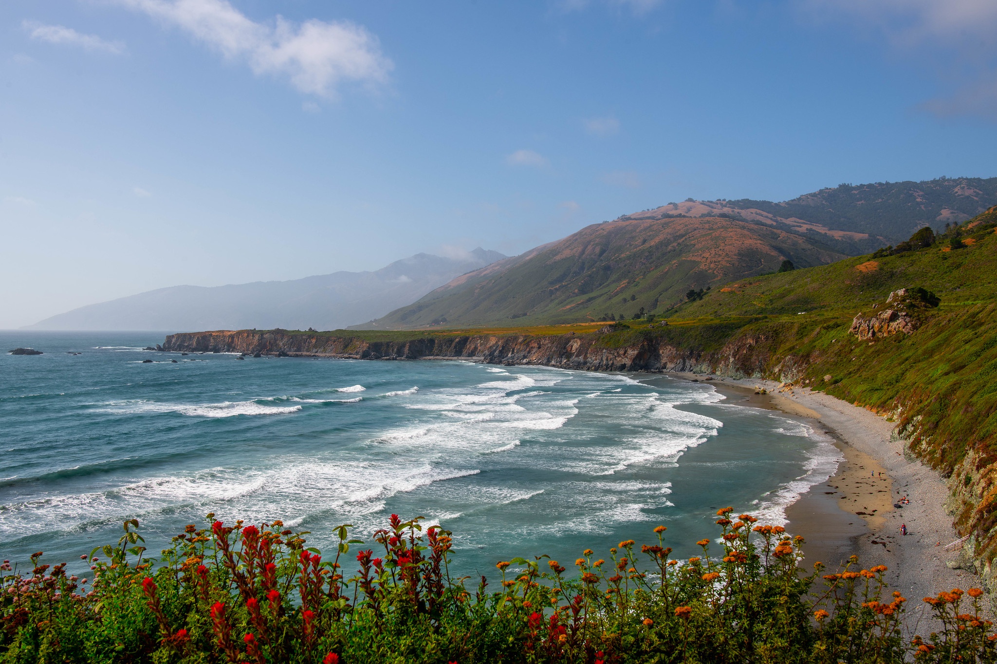 Laden Sie das Natur, Strand, Blume, Küste, Erde/natur-Bild kostenlos auf Ihren PC-Desktop herunter