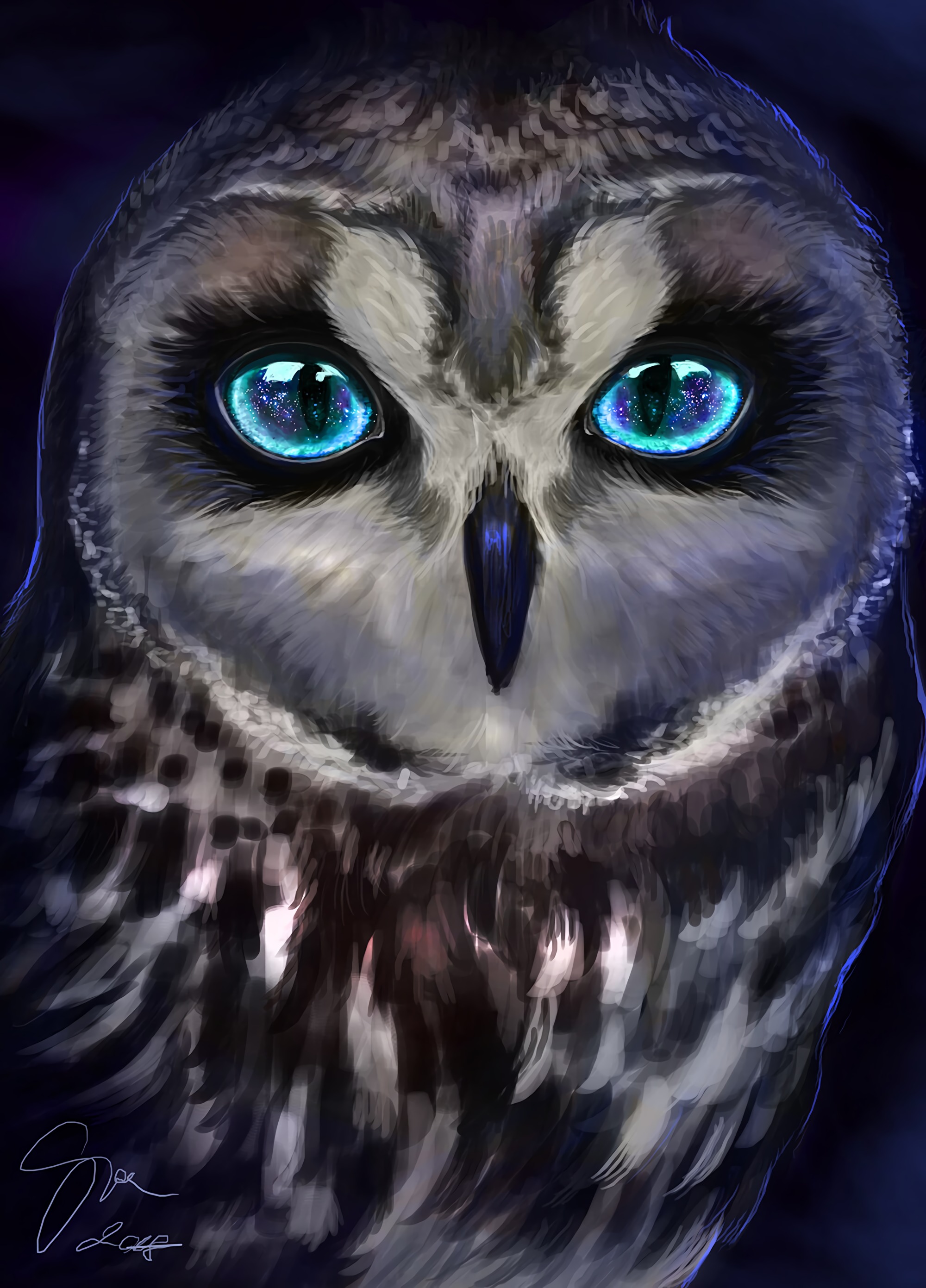 owl, art, bird, sight, opinion