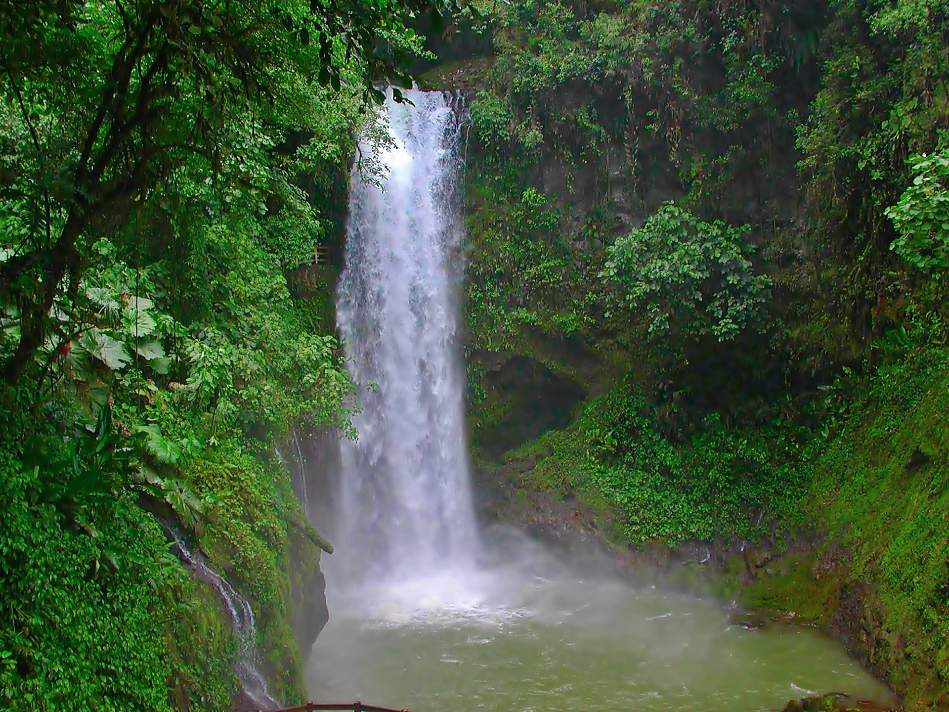 Descarga gratuita de fondo de pantalla para móvil de Cascadas, Cascada, Árbol, Tierra/naturaleza.