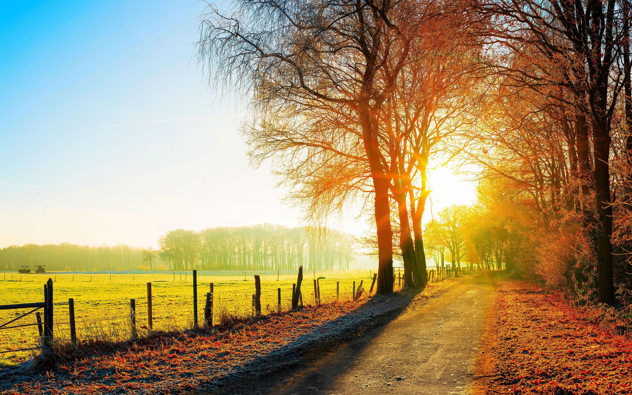 Laden Sie das Natur, Herbst, Straße, Feld, Zaun, Sonnenlicht, Menschengemacht-Bild kostenlos auf Ihren PC-Desktop herunter