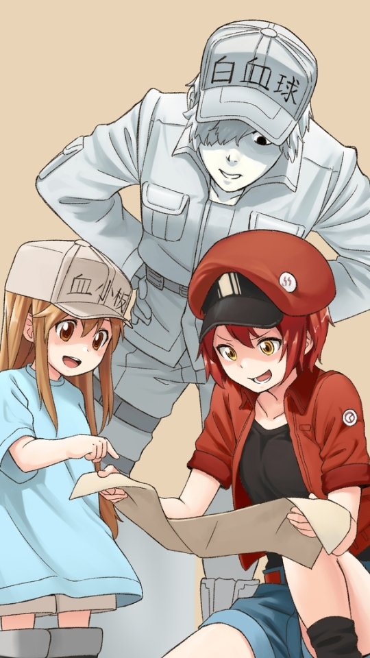 anime, cells at work!, ae3803 (cells at work), platelet (cells at work!), u 1146 (cells at work!) HD wallpaper