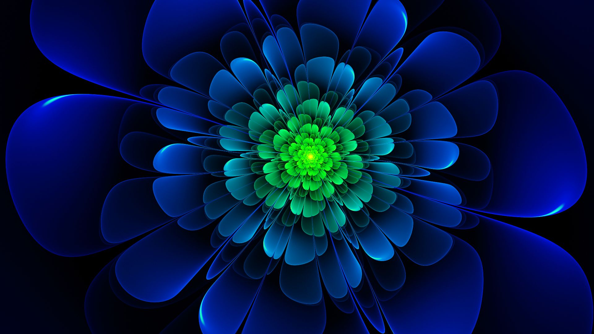 PCデスクトップにフラワーズ, 葉, 花, 青い, 芸術的画像を無料でダウンロード