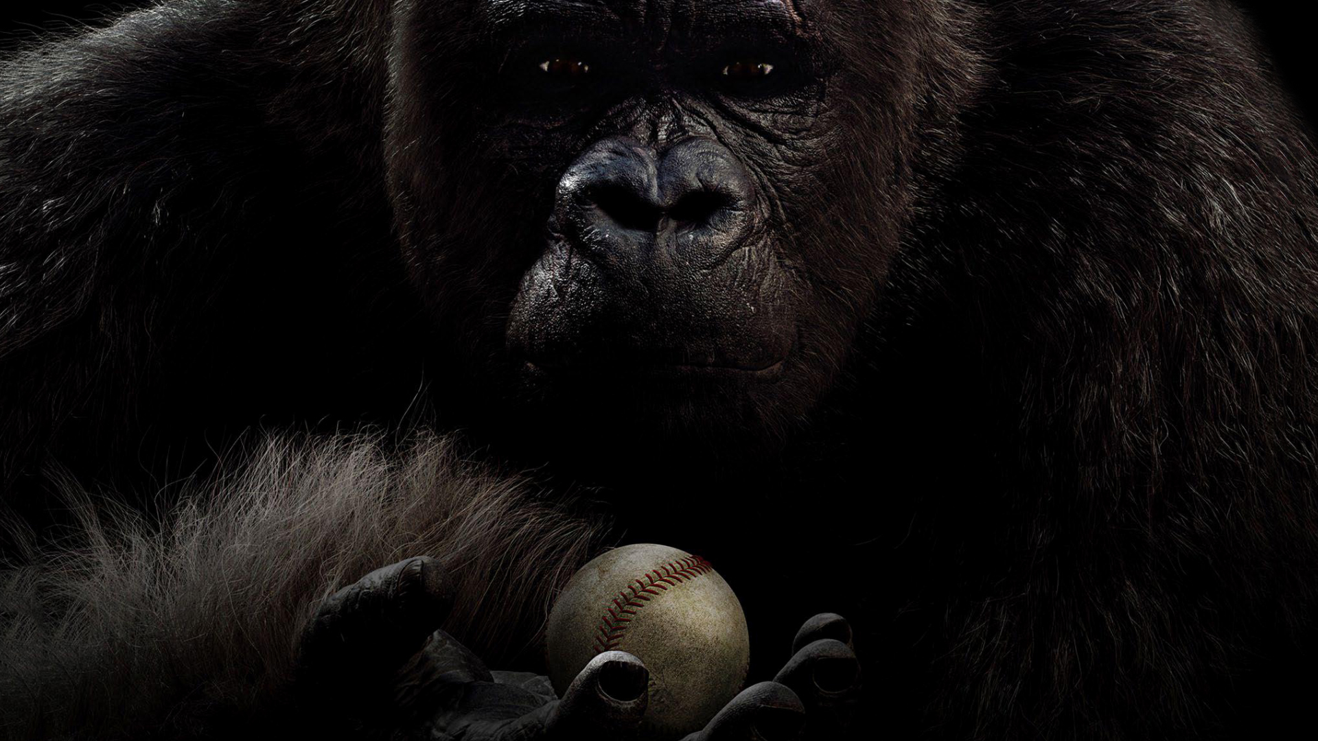 Download mobile wallpaper Gorilla, Movie, Mr Go for free.
