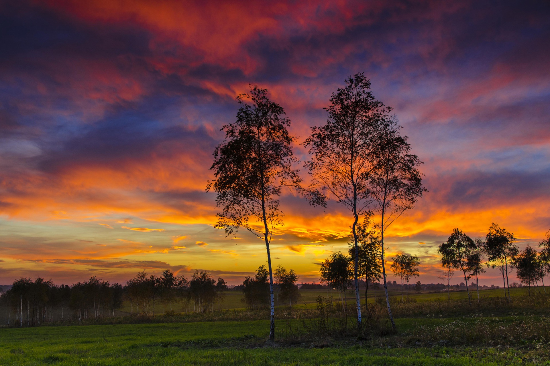 Free download wallpaper Sunset, Sky, Tree, Earth, Field on your PC desktop