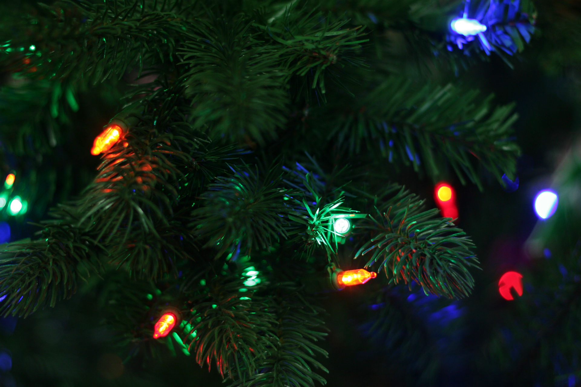 Téléchargez gratuitement l'image Noël, Vacances, Lumières De Noël sur le bureau de votre PC