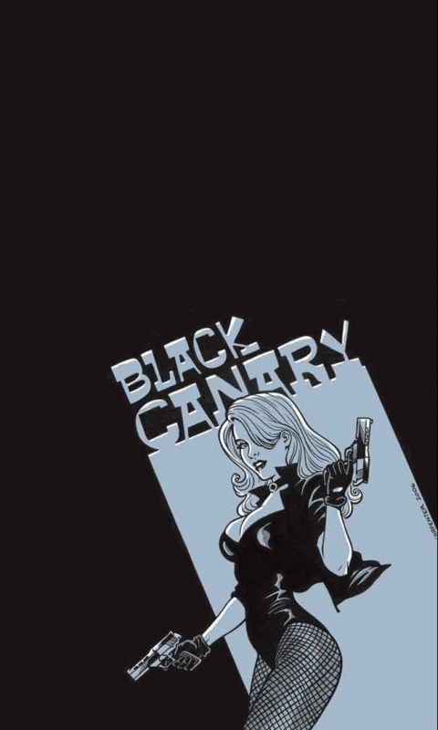 Baixar papel de parede para celular de História Em Quadrinhos, Canário Negro gratuito.