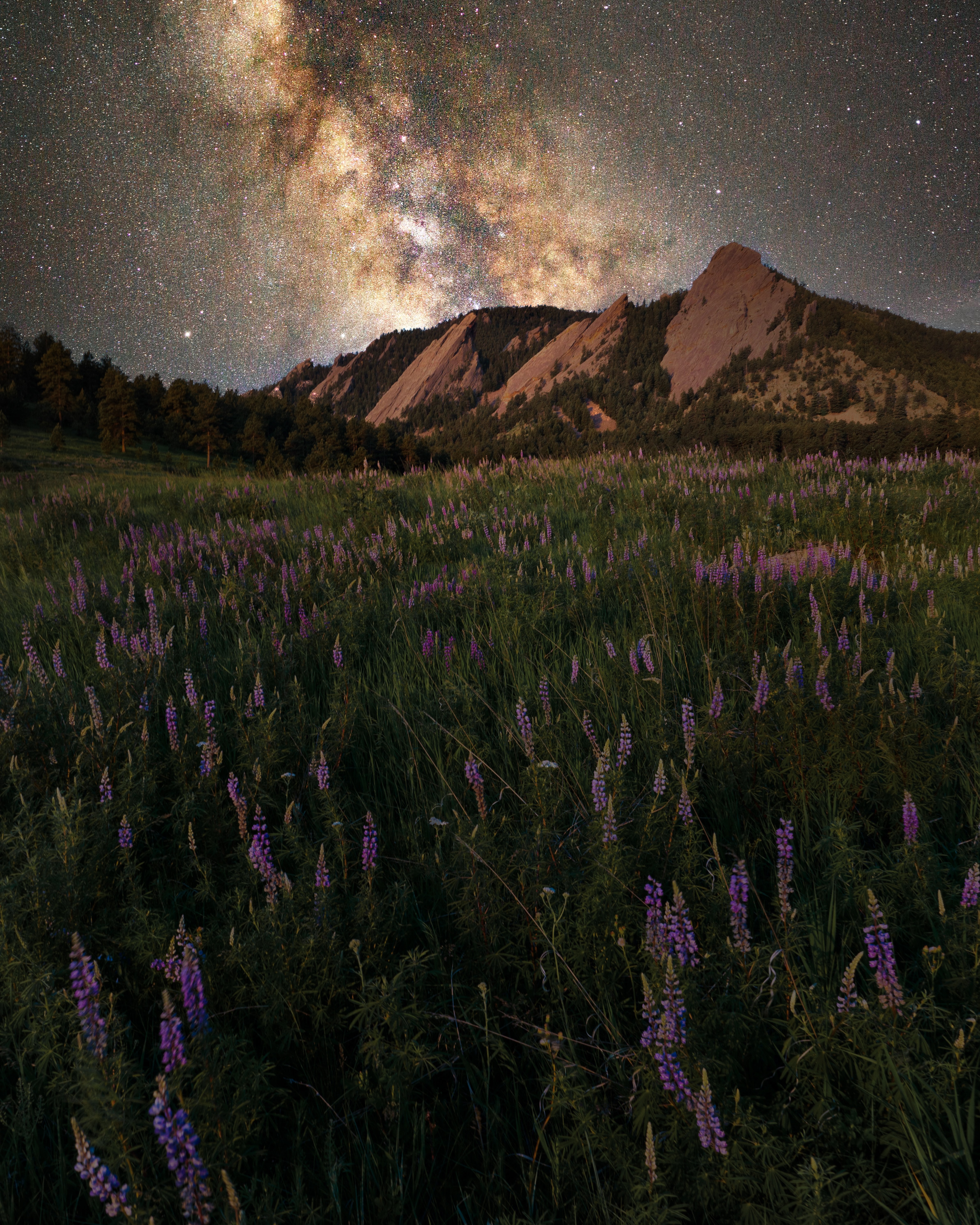 Free download wallpaper Nature, Flowers, Mountain, Starry Sky, Glade, Grass, Polyana, Night on your PC desktop