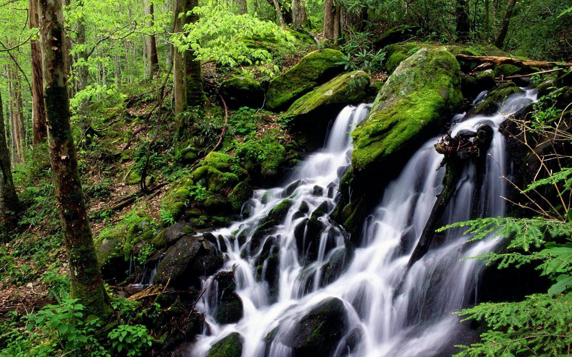 Скачать картинку Водопад, Водопады, Земля/природа в телефон бесплатно.