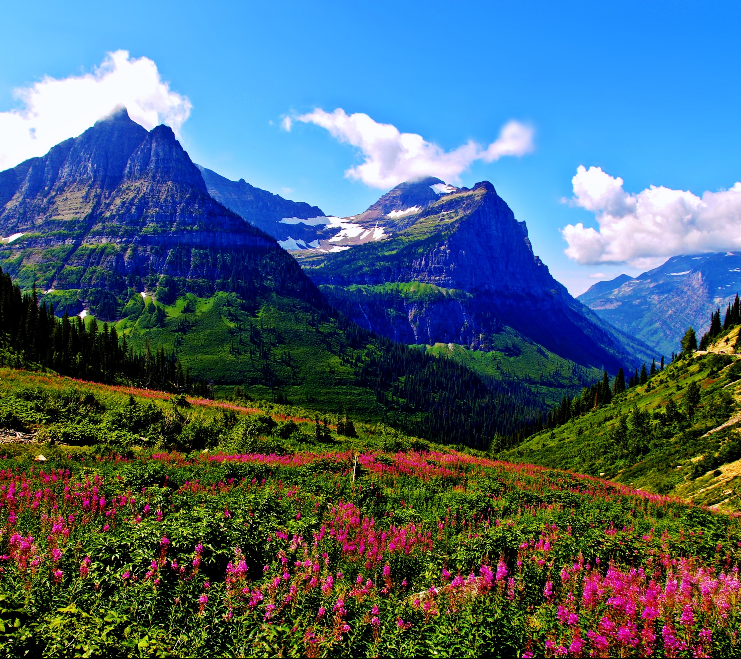 Скачать обои бесплатно Пейзаж, Природа, Гора, Цветок, Весна, Земля/природа картинка на рабочий стол ПК