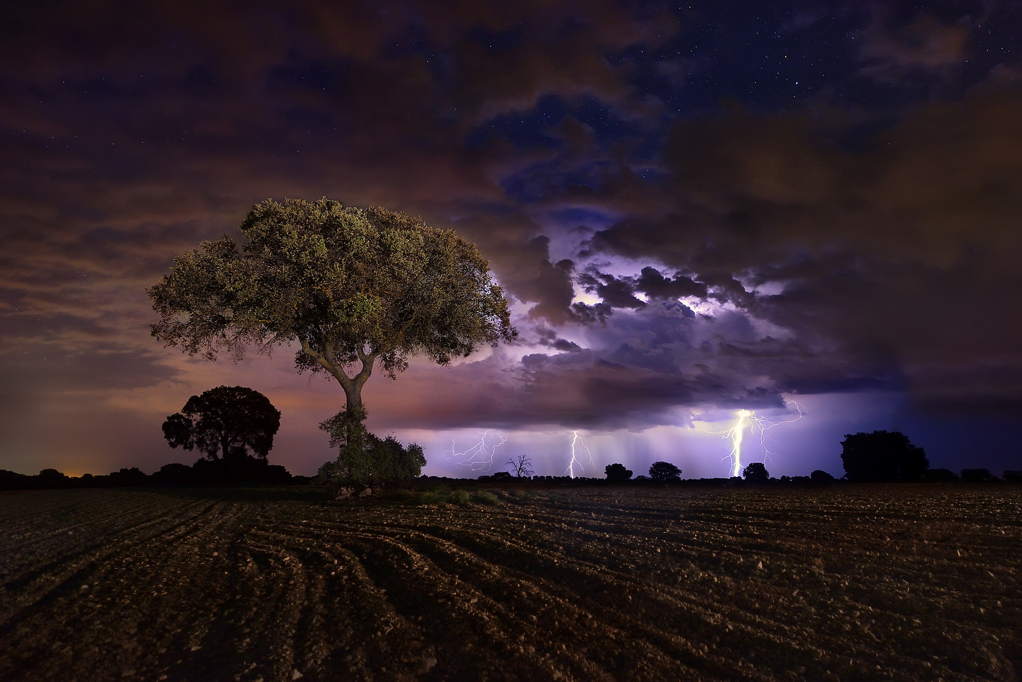 Download mobile wallpaper Night, Lightning, Tree, Field, Cloud, Photography for free.