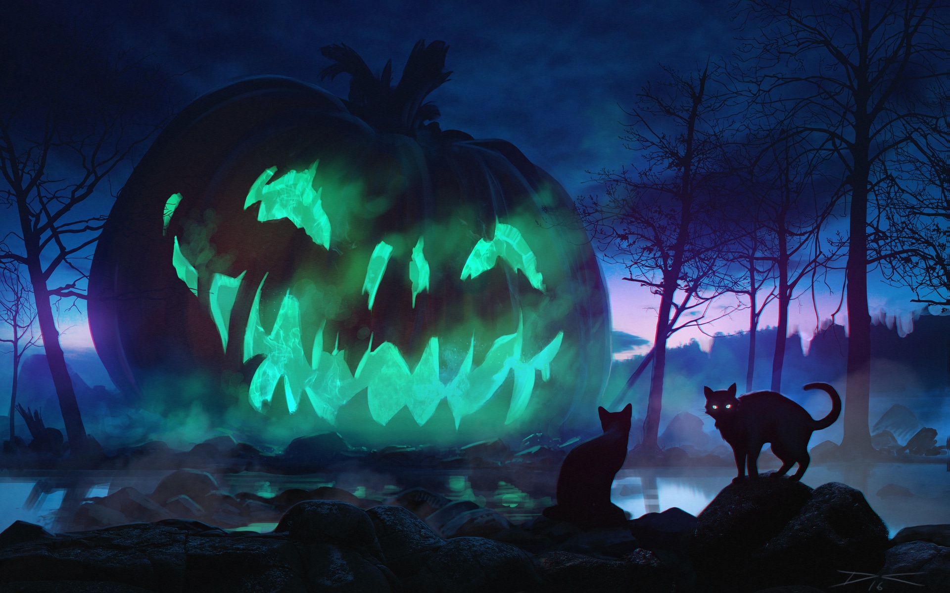 Free download wallpaper Halloween, Night, Cat, Holiday, Jack O' Lantern on your PC desktop