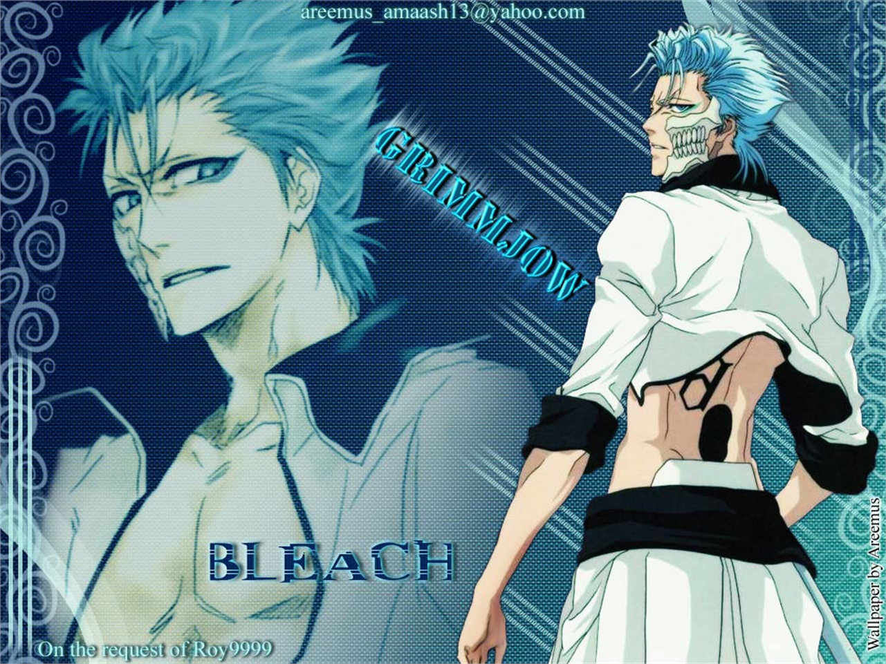 Free download wallpaper Anime, Bleach, Grimmjow Jaegerjaquez on your PC desktop