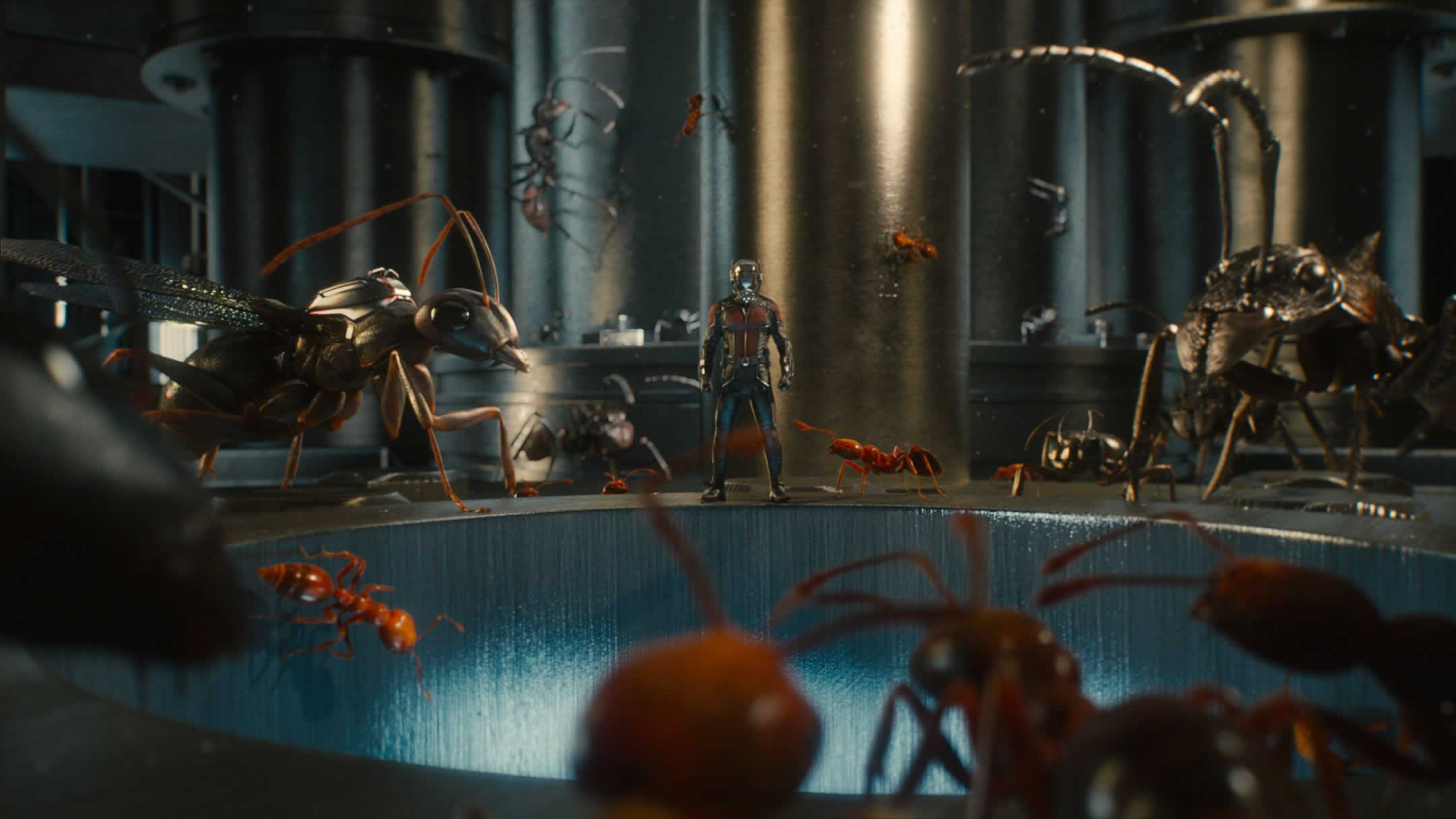 Handy-Wallpaper Filme, Ant Man kostenlos herunterladen.