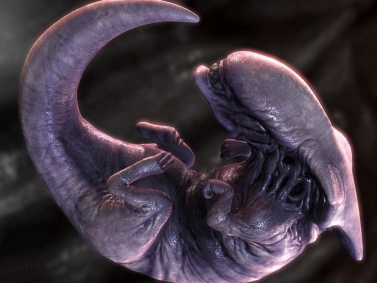 Free download wallpaper Alien, Sci Fi on your PC desktop