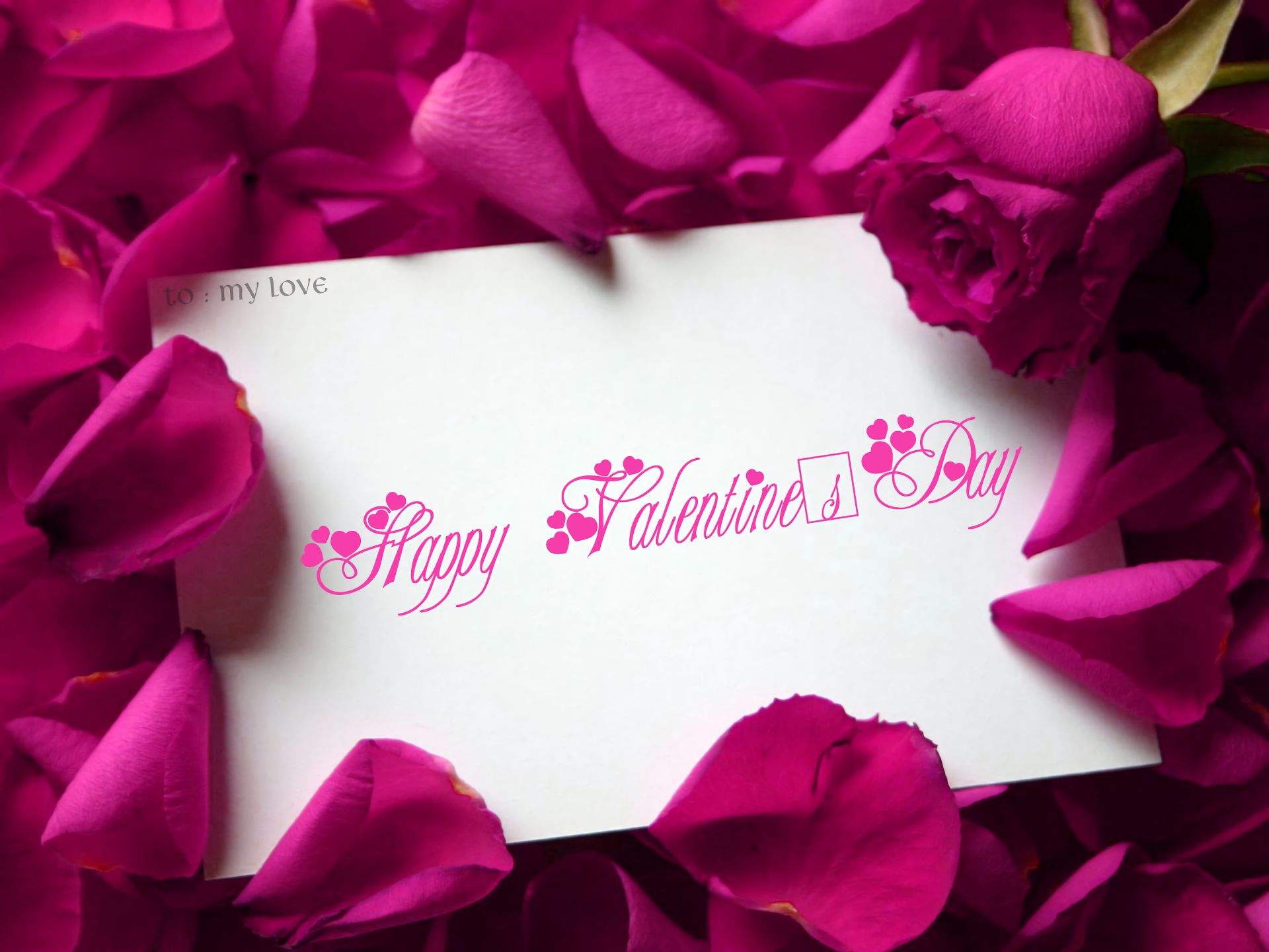 Скачати мобільні шпалери День Святого Валентина, Роза, Свято, Рожева Квітка, Щасливого Дня Святого Валентина безкоштовно.