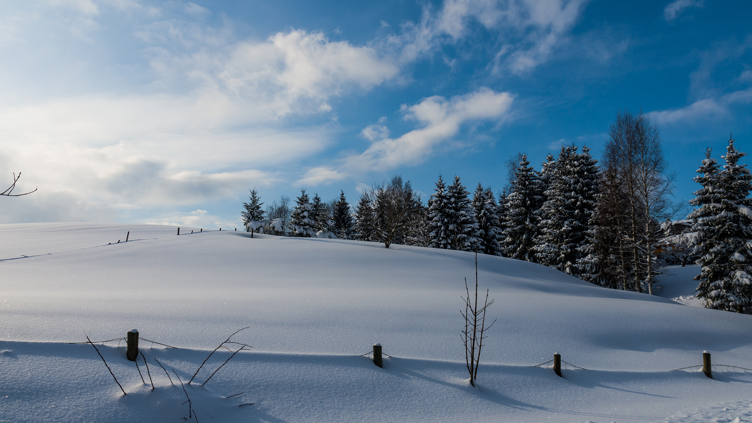 Descarga gratis la imagen Invierno, Nieve, Árbol, Tierra/naturaleza, Colina en el escritorio de tu PC