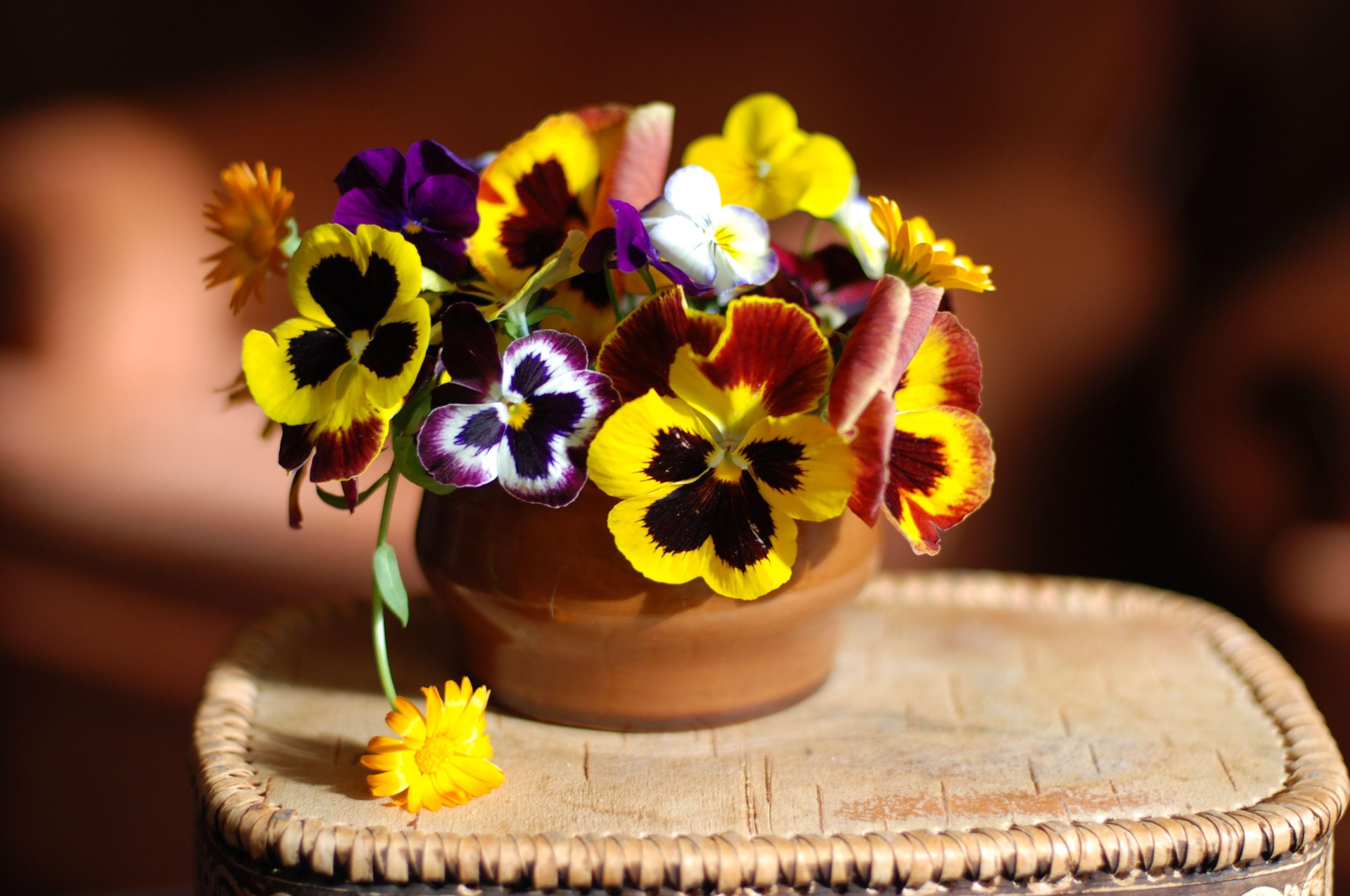 flowers, pansies, vase, stand